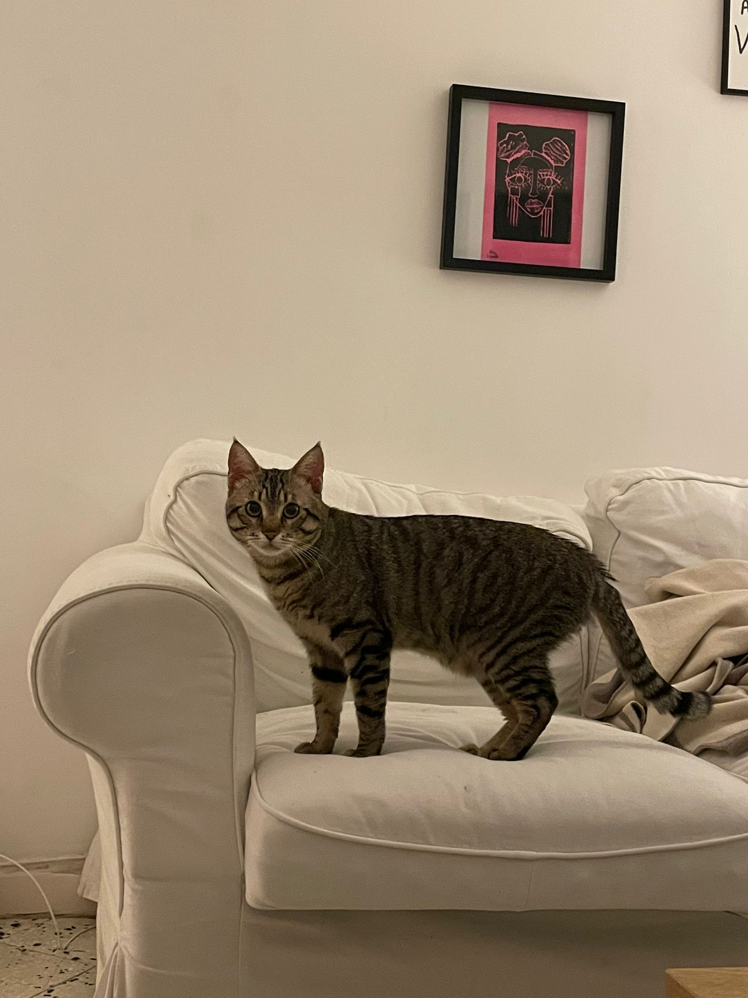 WhatsApp Image 2026-03-19 at 19.16.57 (3)