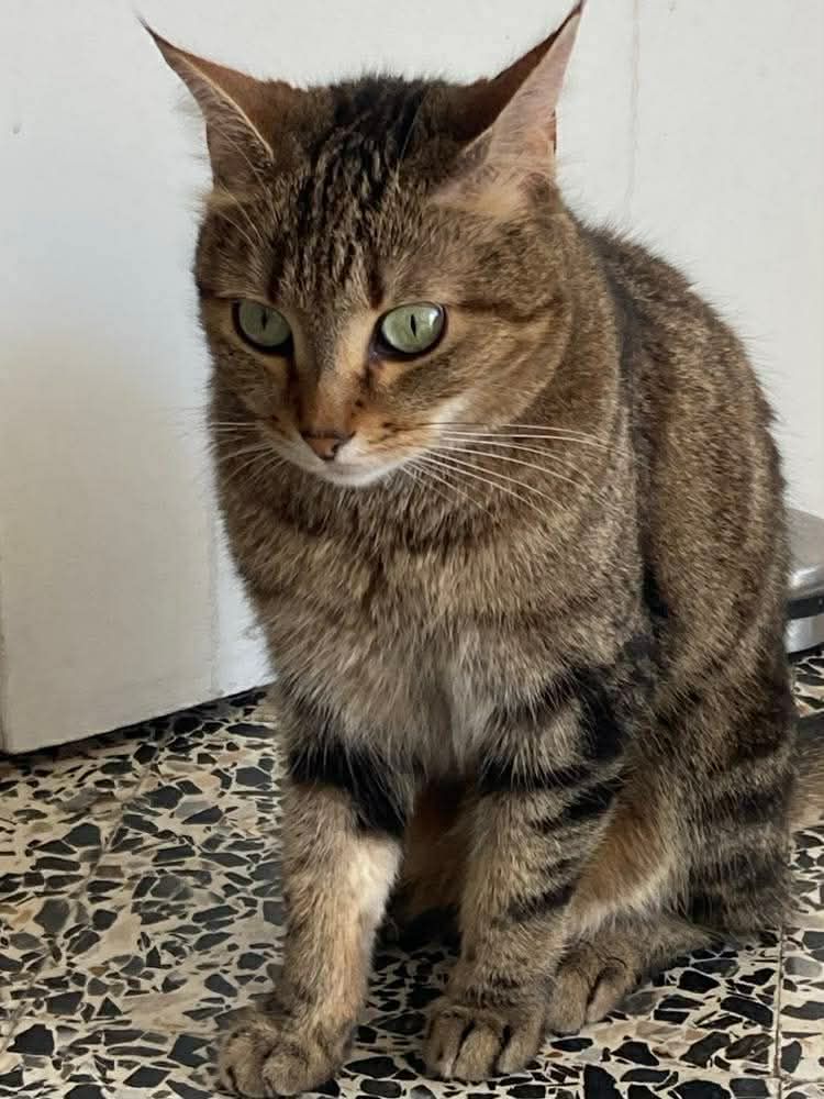 WhatsApp Image 2026-03-20 at 09.53.29 (2)