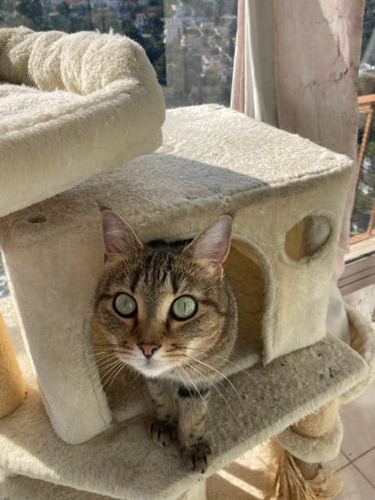 WhatsApp Image 2026-03-20 at 09.53.29