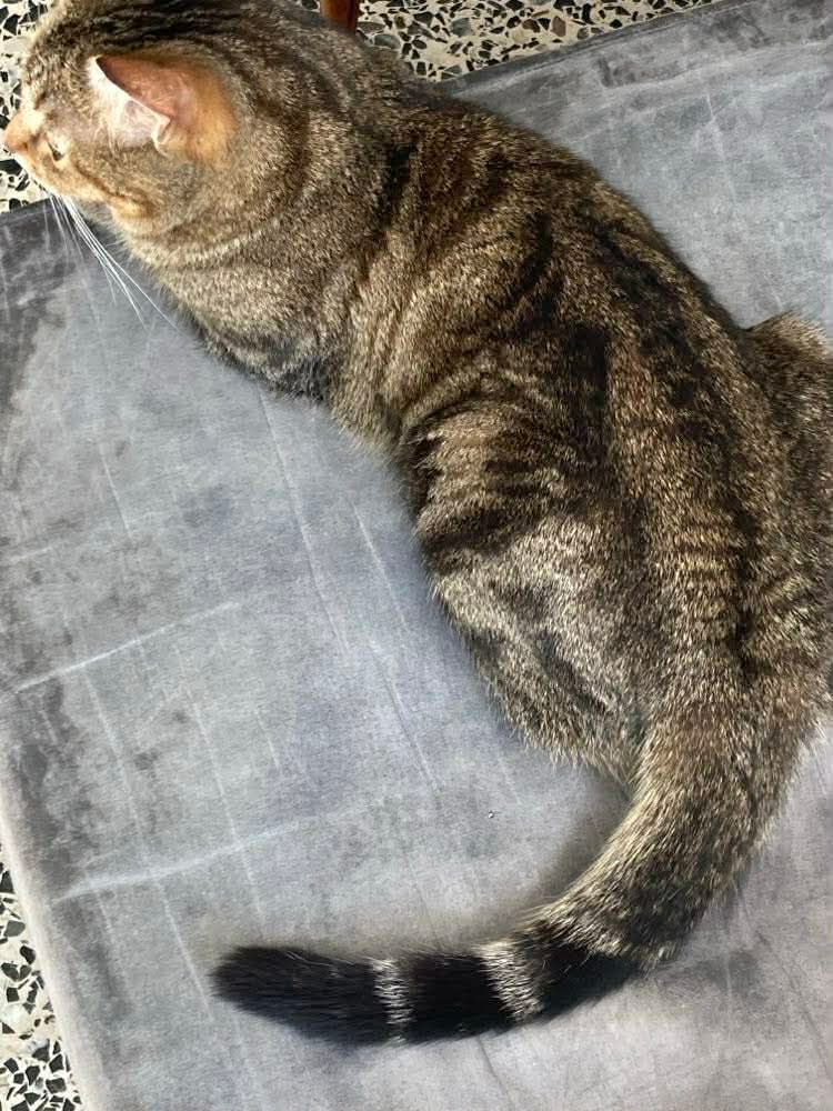 WhatsApp Image 2026-03-20 at 09.59.07