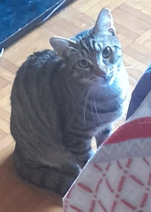 WhatsApp Image 2026-03-20 at 16.56.38