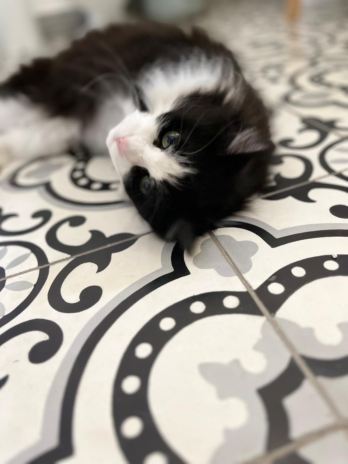 WhatsApp Image 2026-03-20 at 18.40.17 (1)