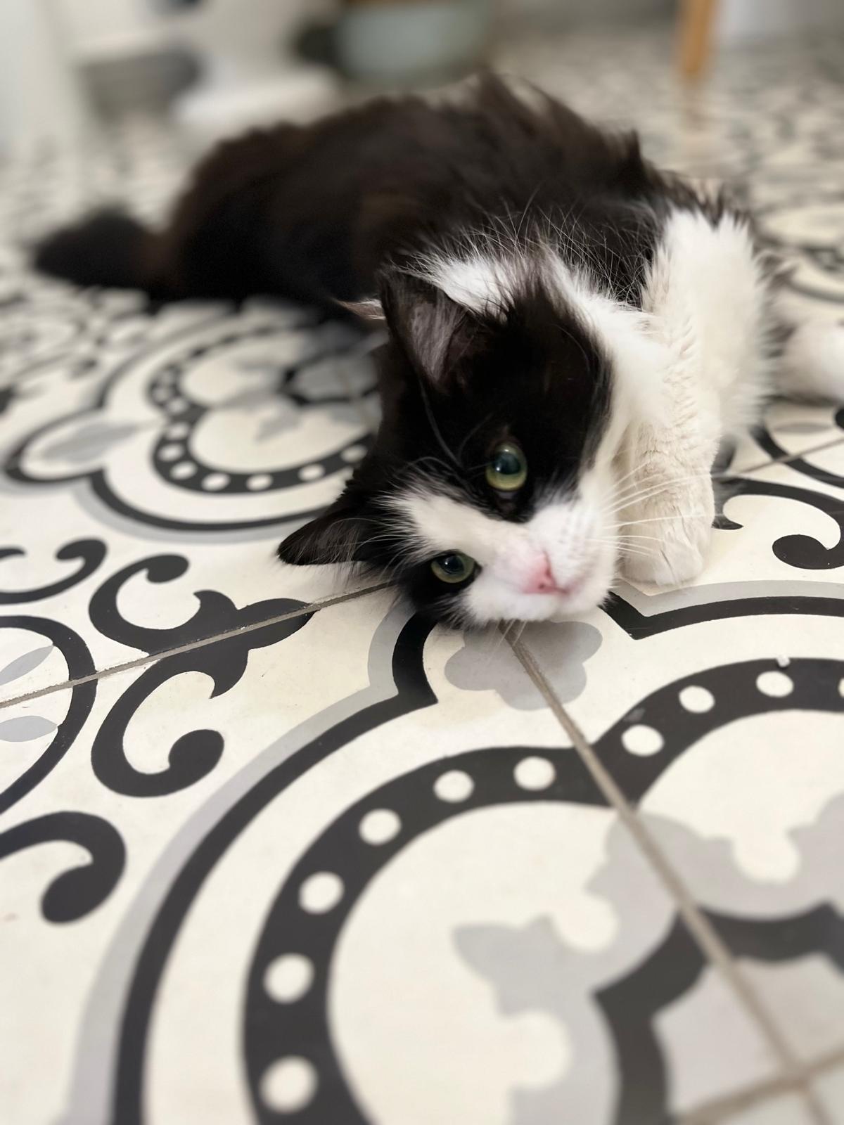 WhatsApp Image 2026-03-20 at 18.40.17 (2)