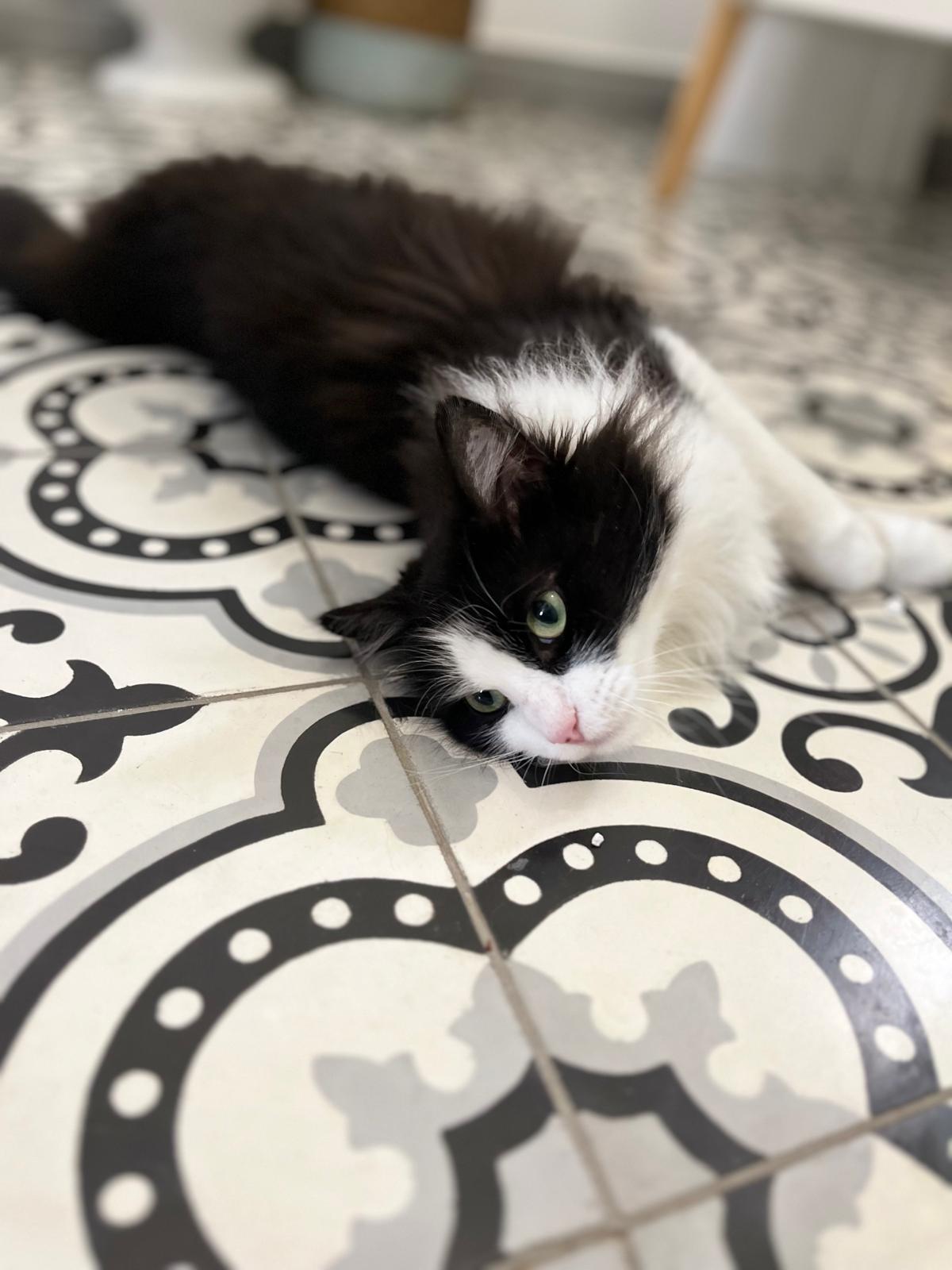 WhatsApp Image 2026-03-20 at 18.40.17 (3)