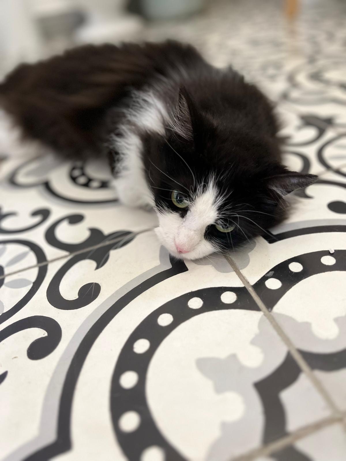 WhatsApp Image 2026-03-20 at 18.40.17