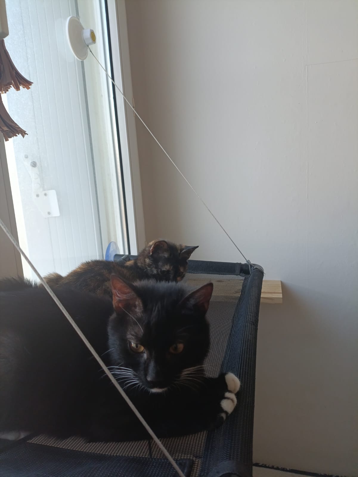 WhatsApp Image 2026-03-20 at 18.40.59 (2)