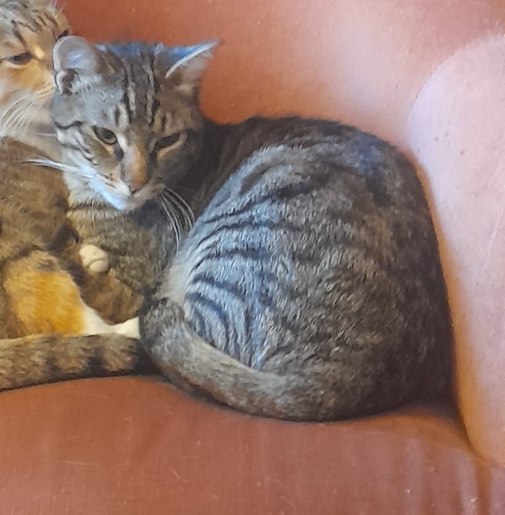 WhatsApp Image 2026-03-20 at 18.44.41