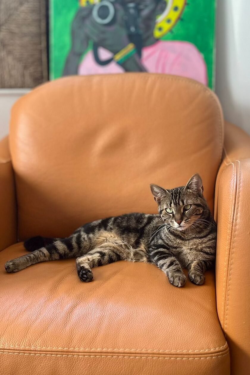 WhatsApp Image 2026-03-21 at 16.33.54