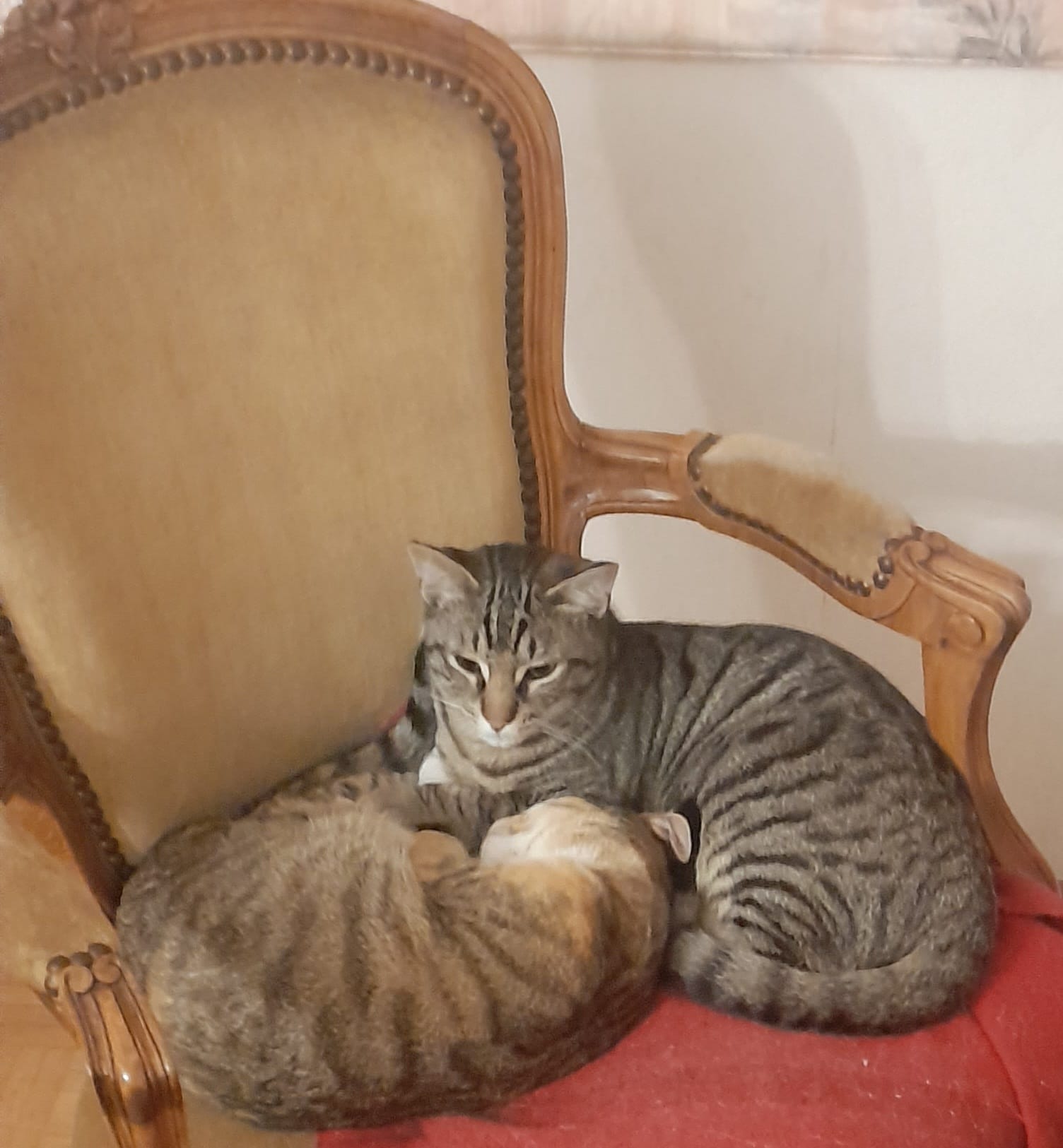 WhatsApp Image 2026-03-22 at 15.21.51