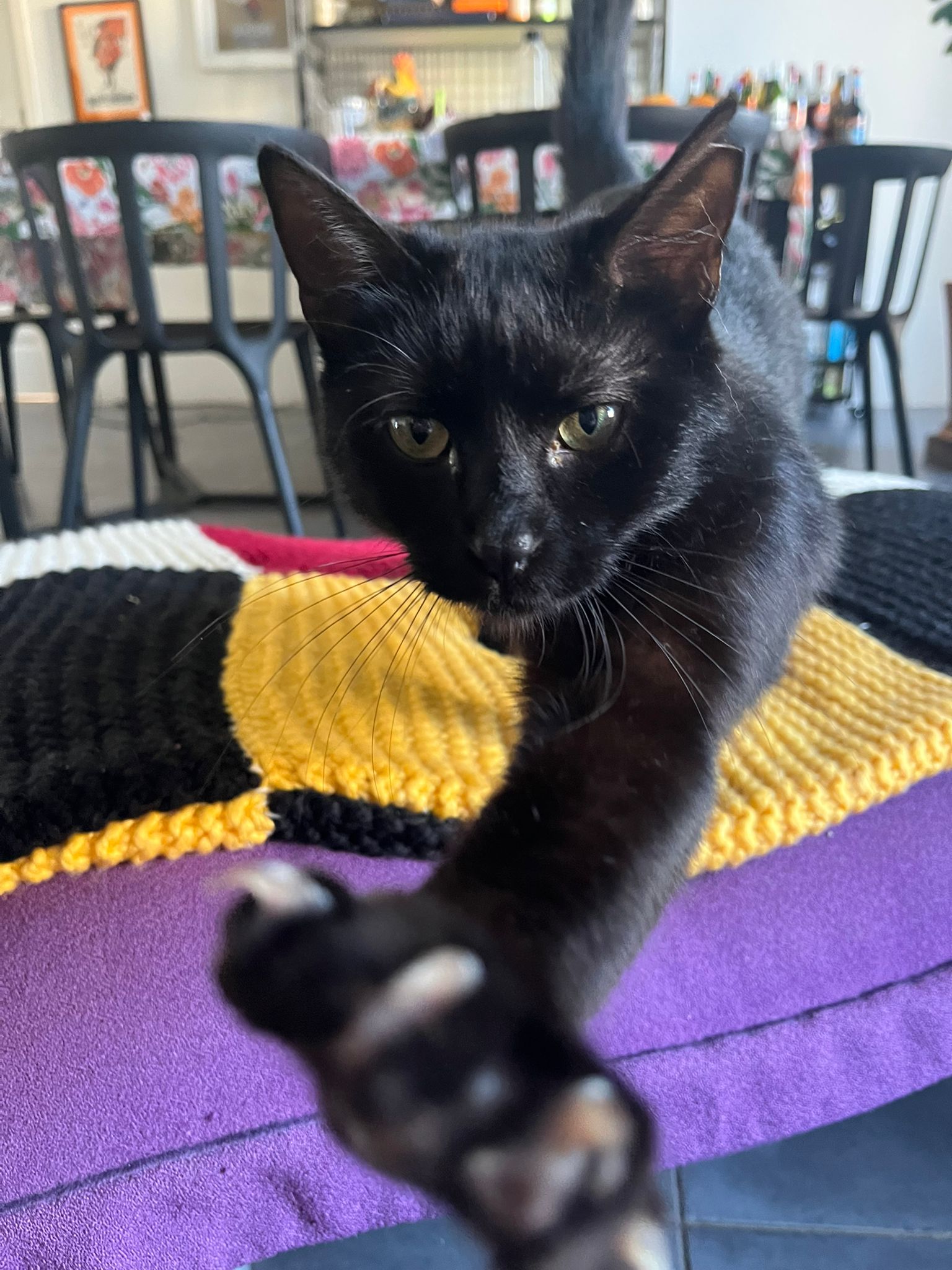 WhatsApp Image 2026-03-23 at 18.07.53 (1)