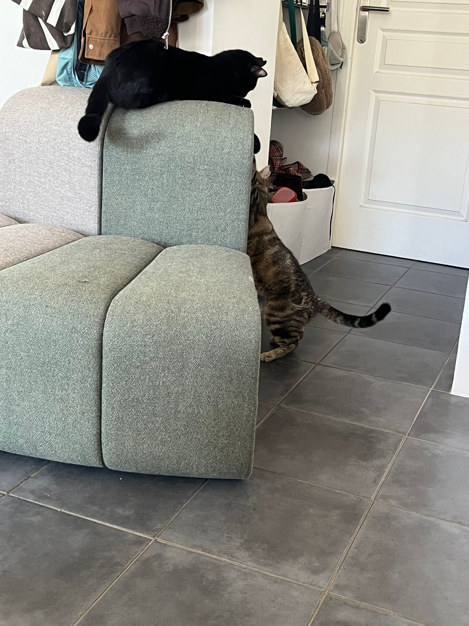 WhatsApp Image 2026-03-23 at 18.07.53 (3)