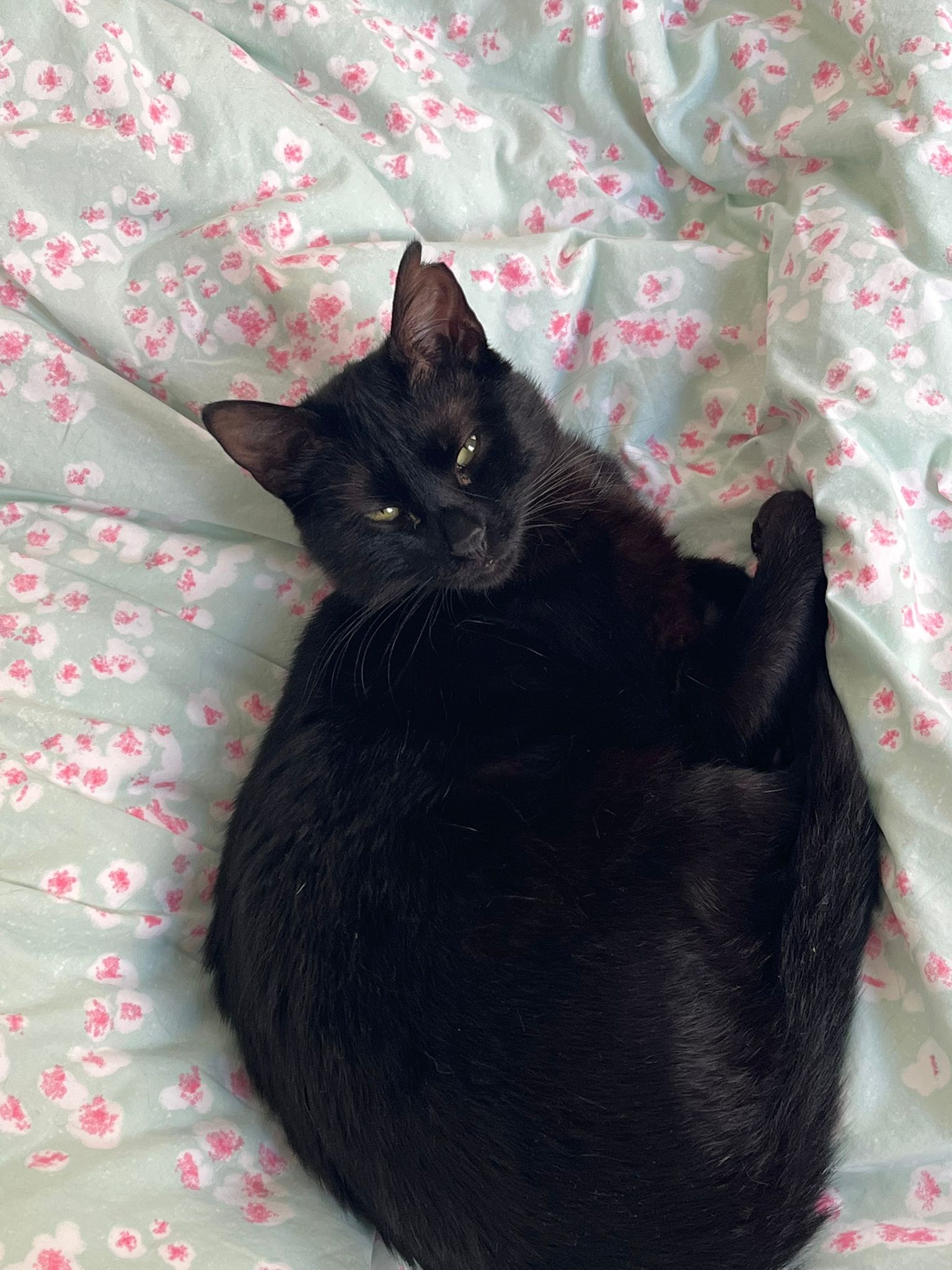 WhatsApp Image 2026-03-23 at 18.07.53