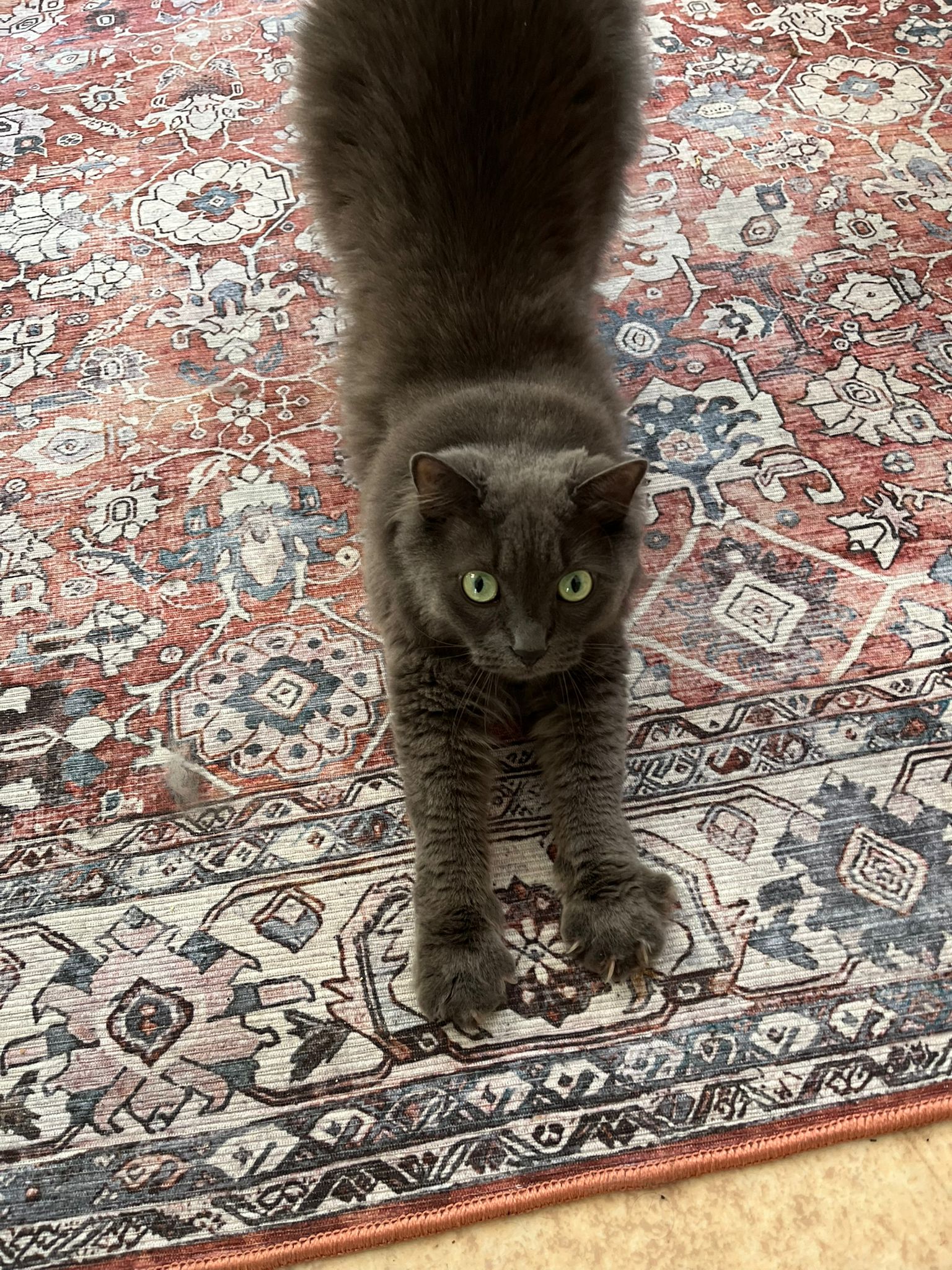 WhatsApp Image 2026-03-23 at 18.13.06 (1)