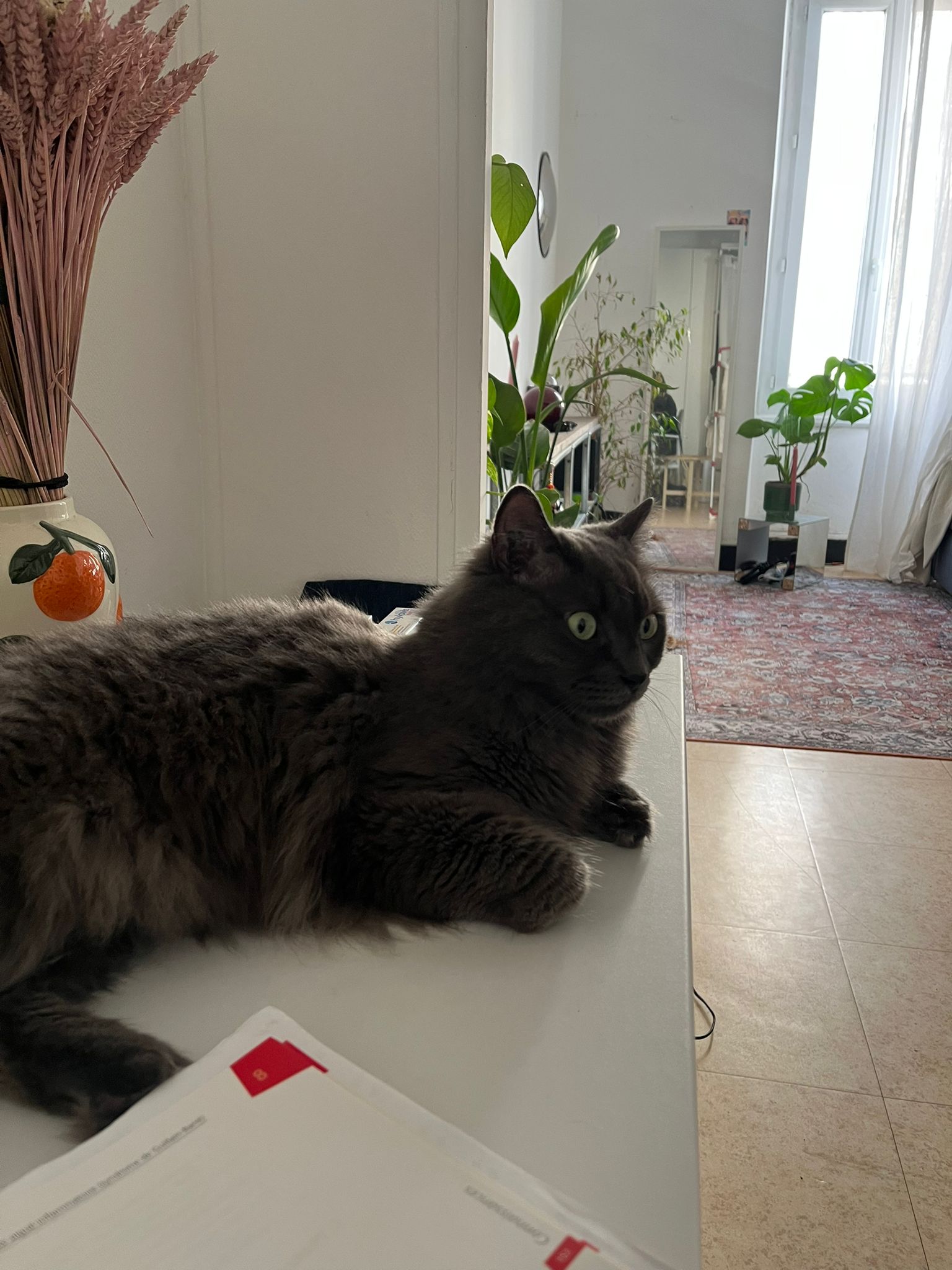 WhatsApp Image 2026-03-23 at 18.13.06