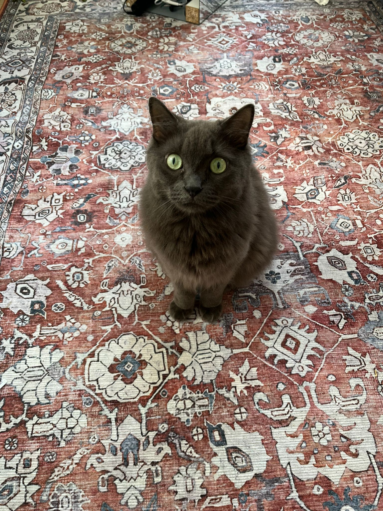 WhatsApp Image 2026-03-23 at 18.13.07