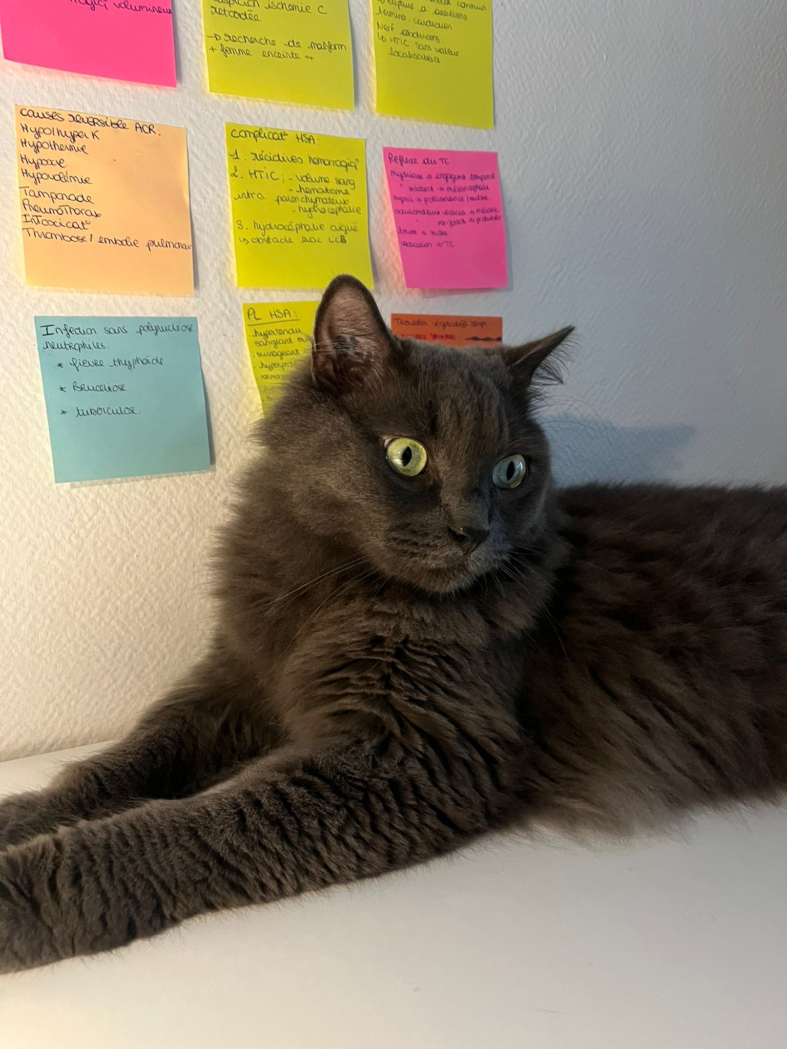 WhatsApp Image 2026-03-23 at 18.13.12 (1)