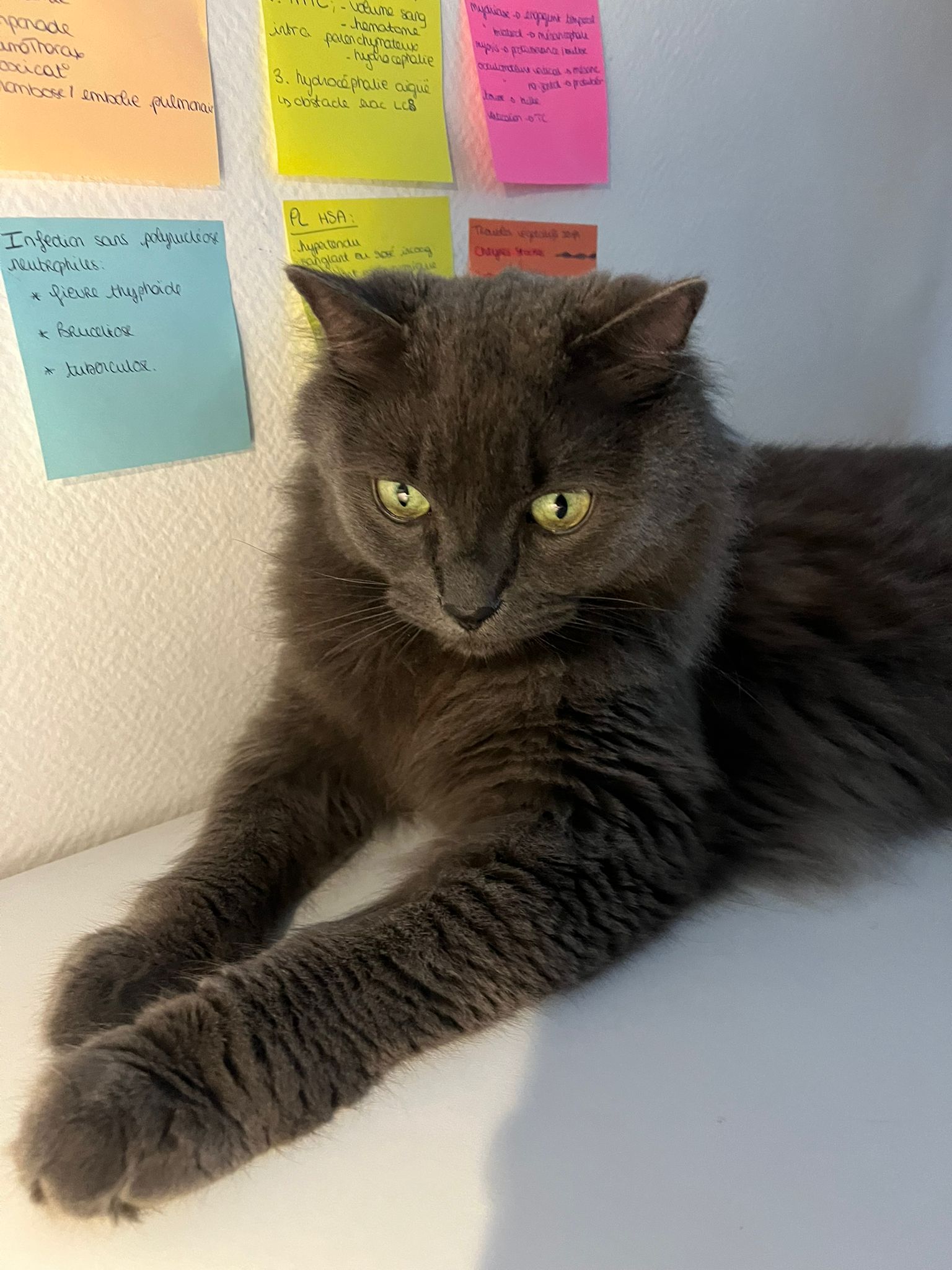 WhatsApp Image 2026-03-23 at 18.13.12