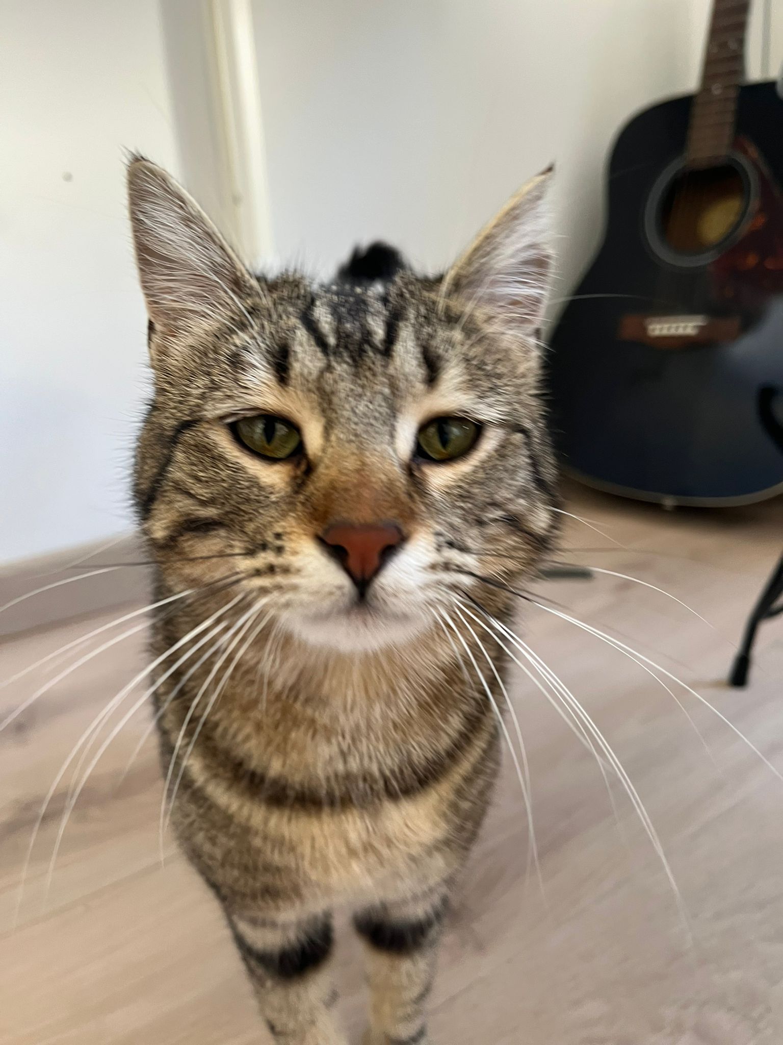 WhatsApp Image 2026-03-24 at 15.16.10 (1)