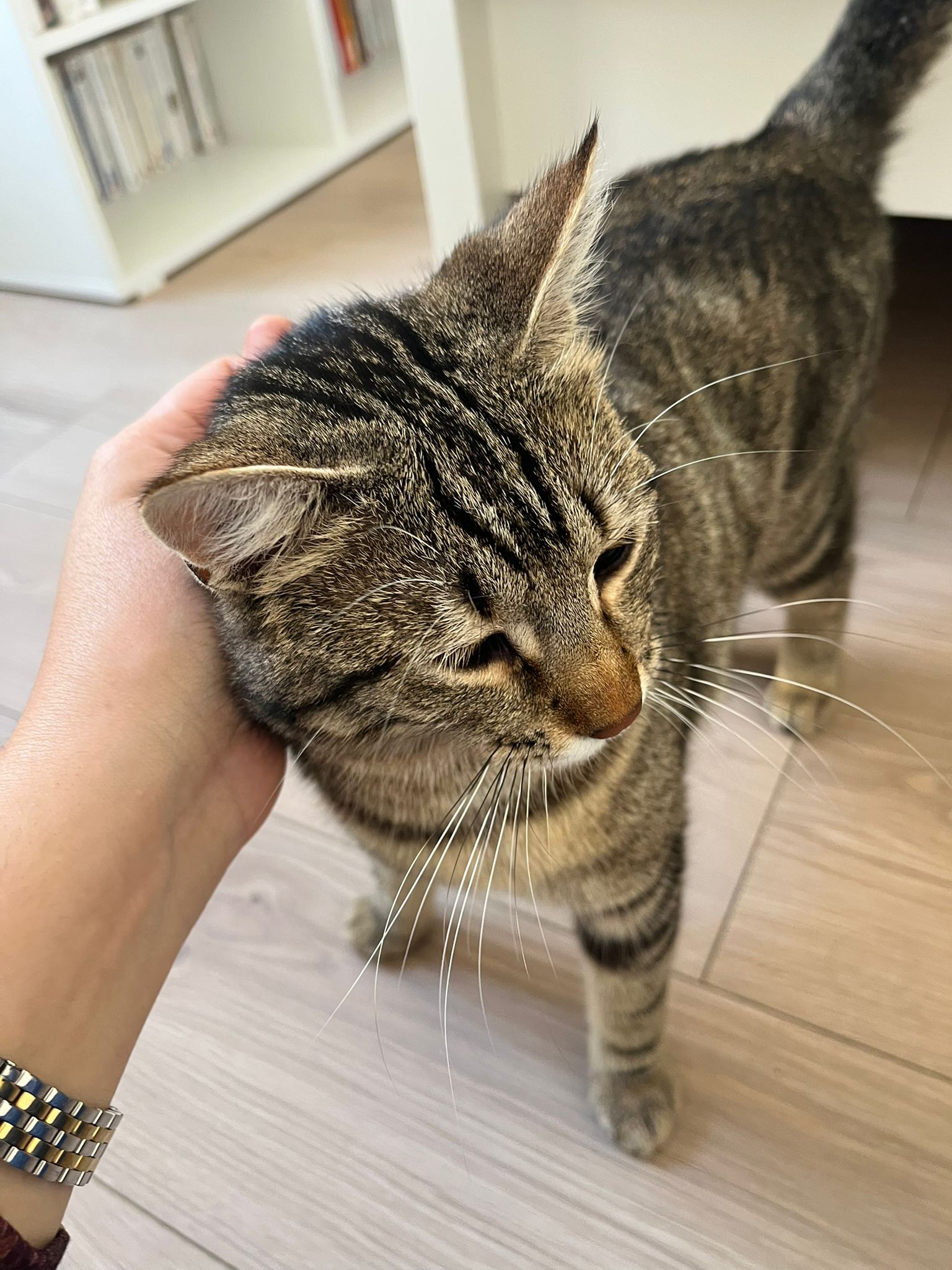 WhatsApp Image 2026-03-24 at 15.16.10