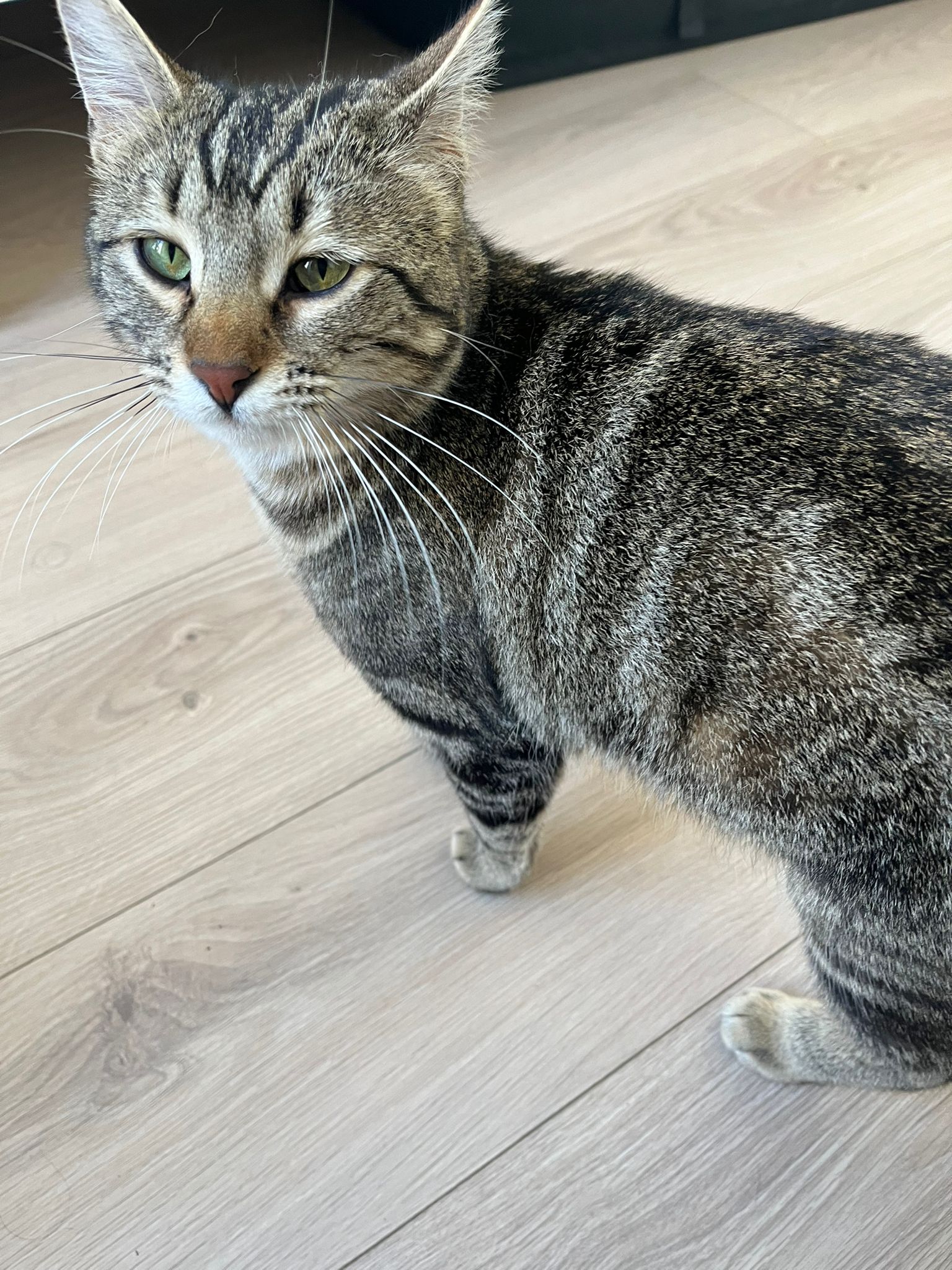 WhatsApp Image 2026-03-24 at 15.16.11