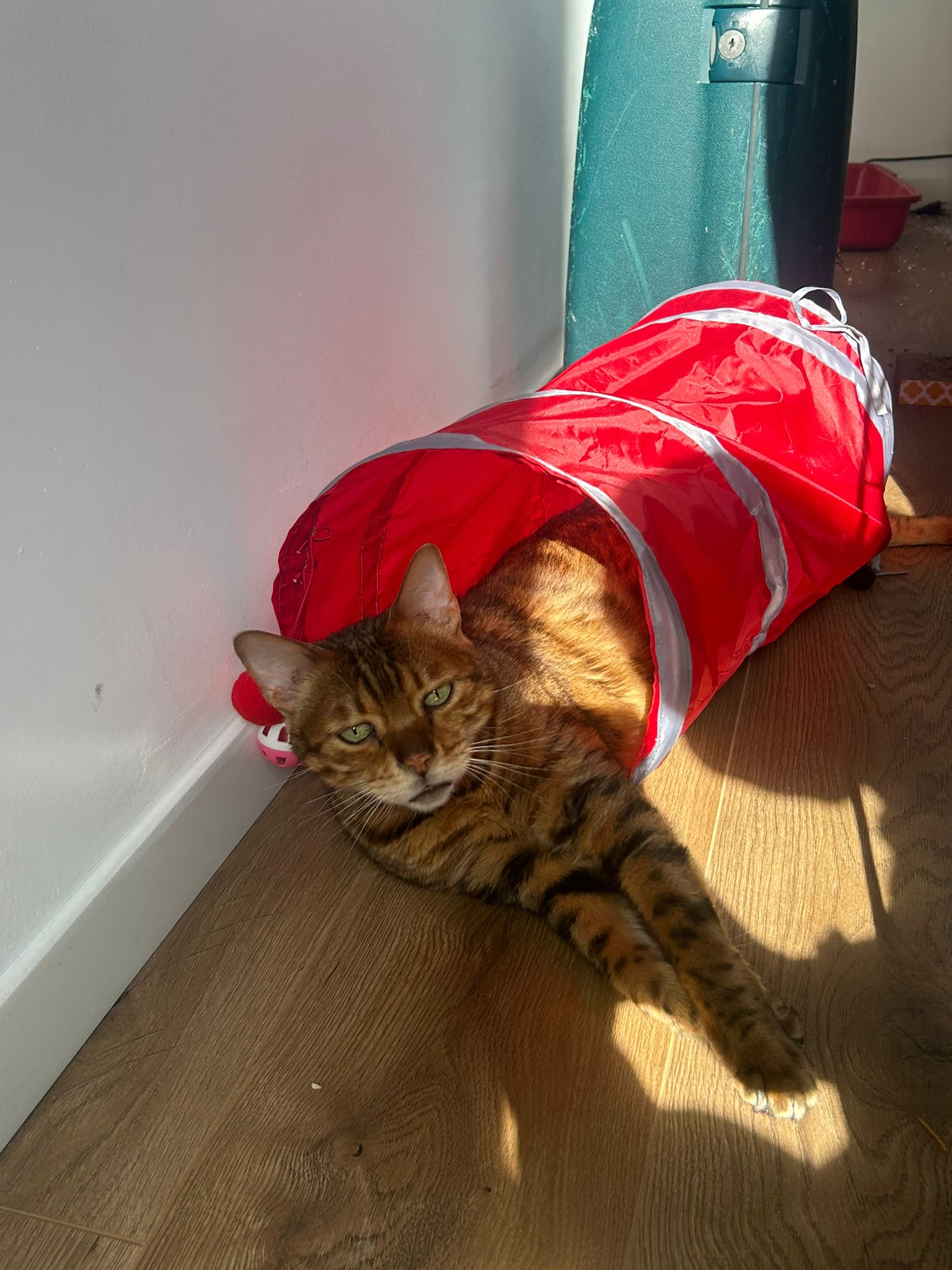 WhatsApp Image 2026-03-11 at 21.46.46