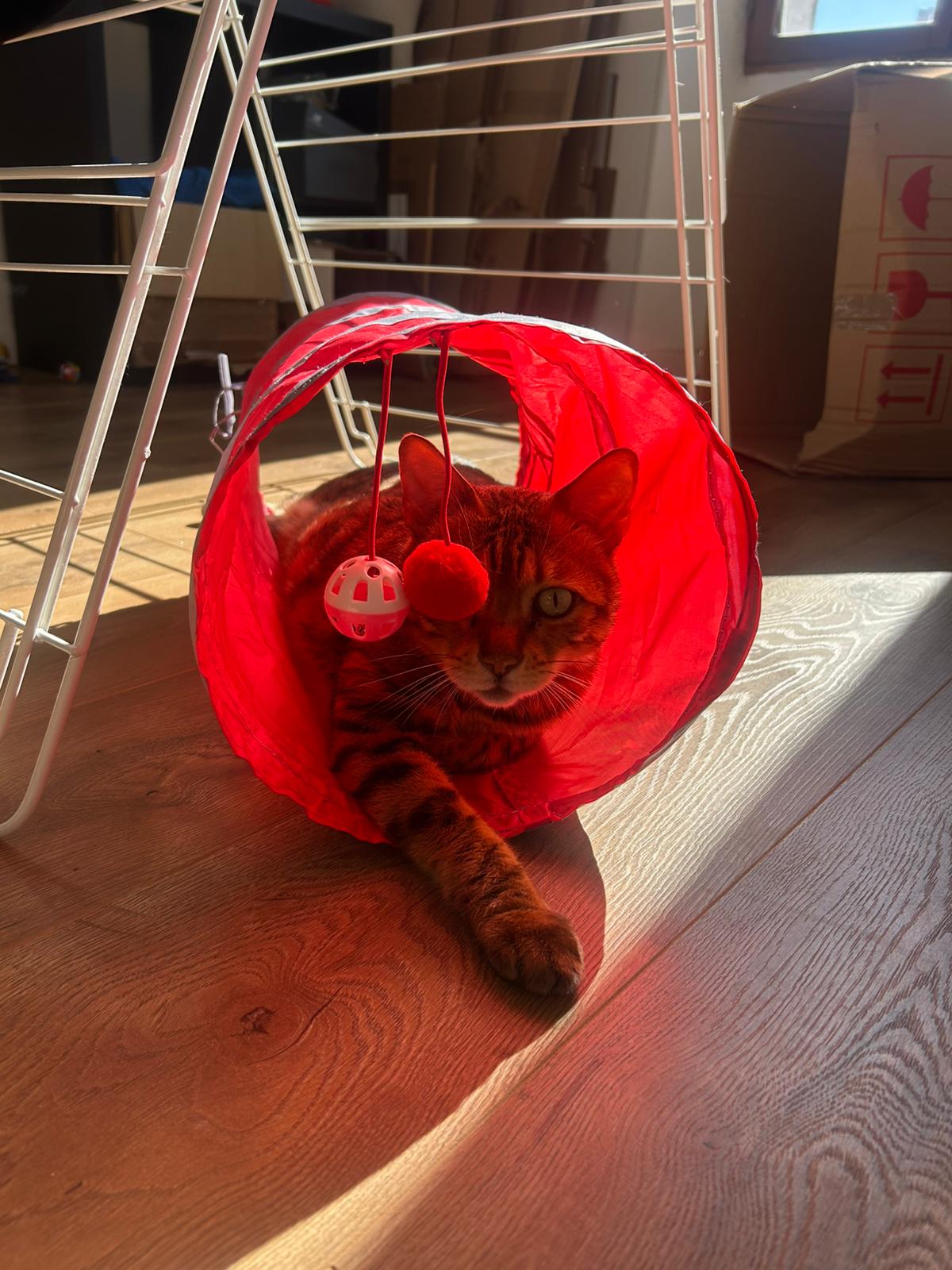 WhatsApp Image 2026-03-17 at 16.07.56