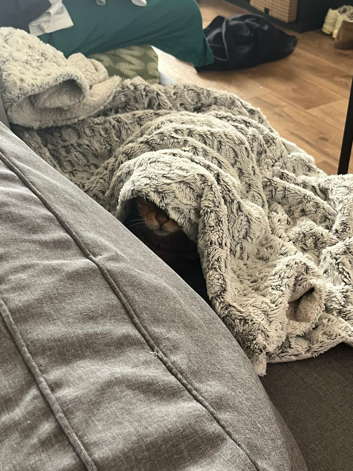 WhatsApp Image 2026-03-29 at 16.21.20 (1)