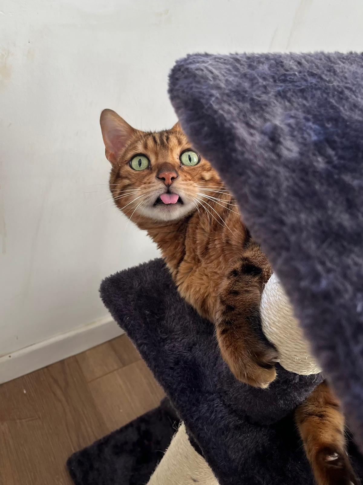 WhatsApp Image 2026-03-29 at 16.21.20 (3)