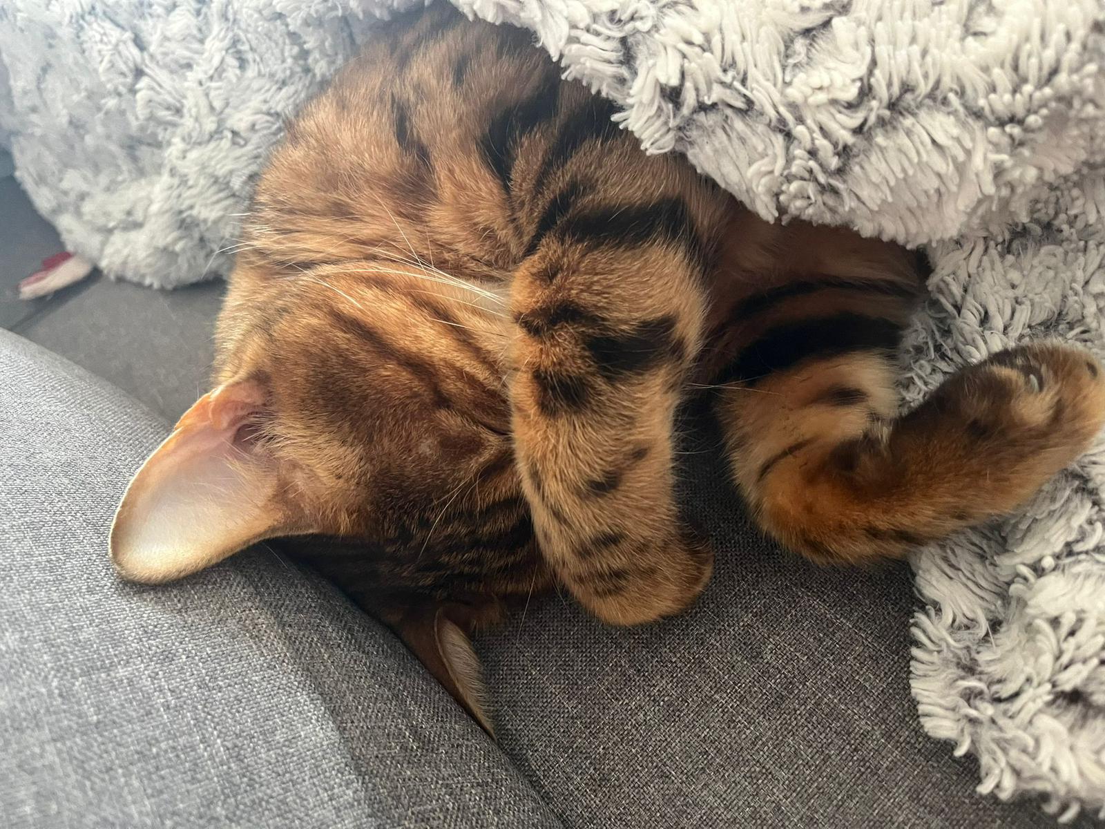 WhatsApp Image 2026-03-29 at 16.21.20