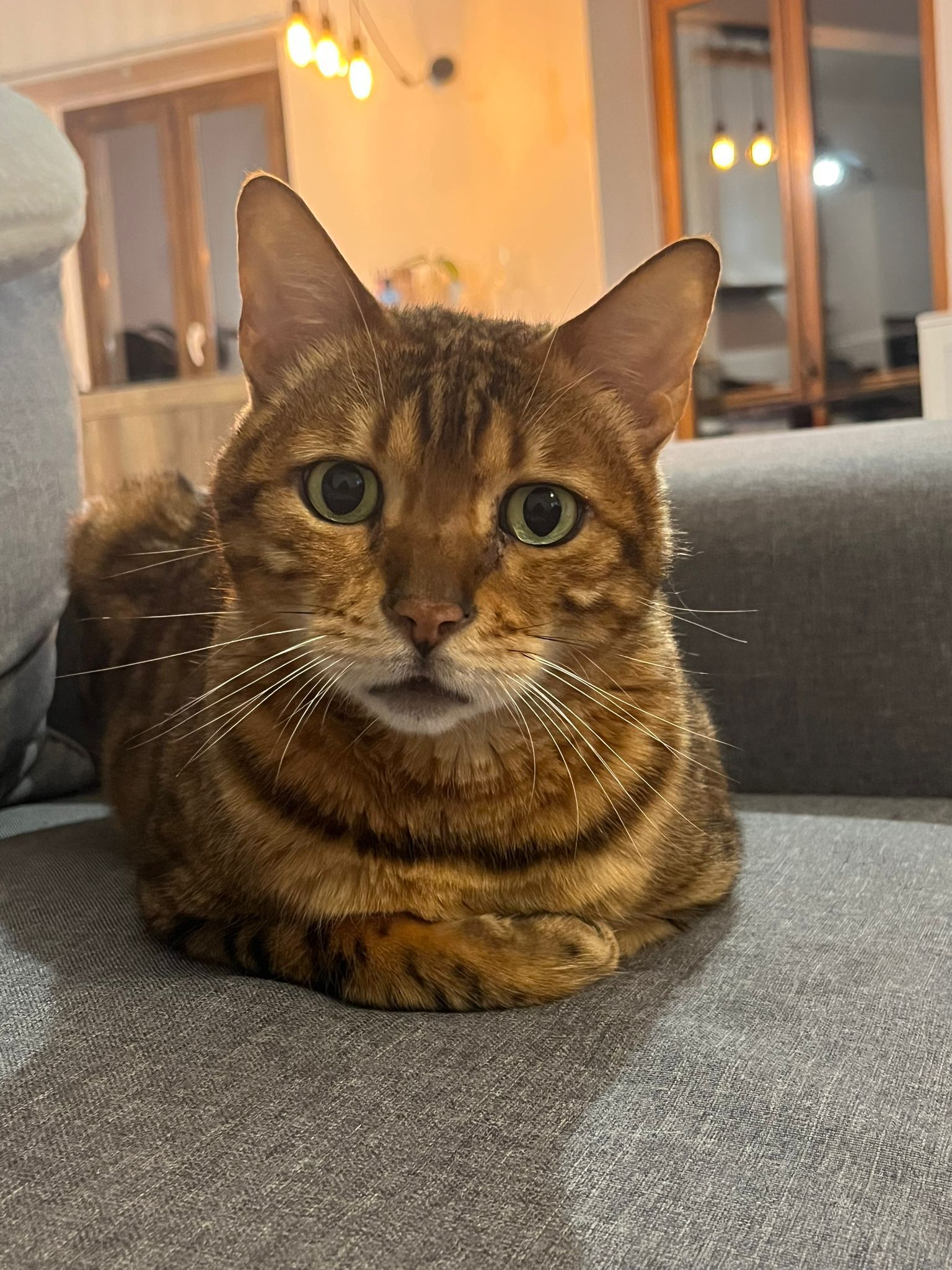 WhatsApp Image 2026-04-05 at 20.20.57