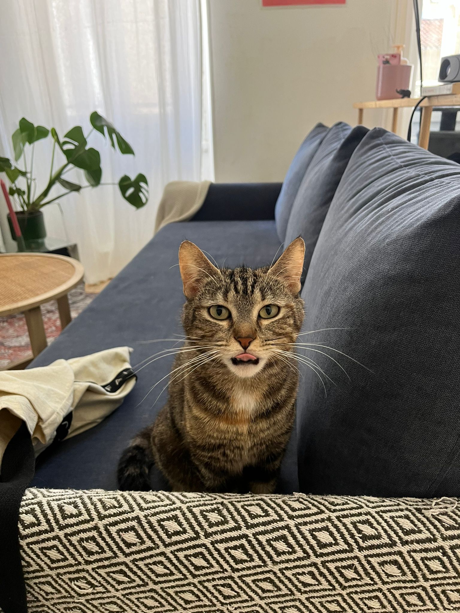 WhatsApp Image 2026-04-11 at 13.22.51 (1)