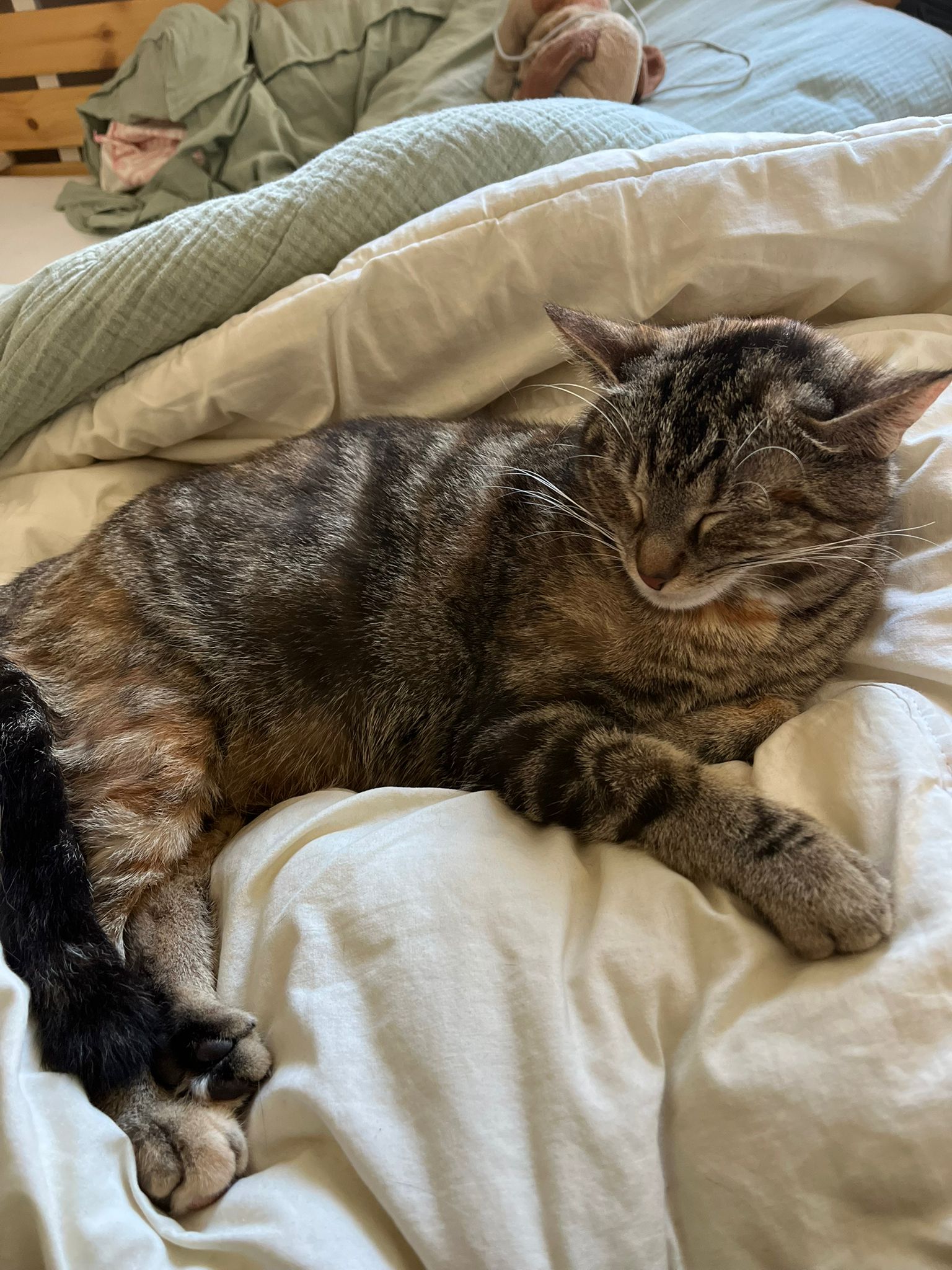 WhatsApp Image 2026-04-11 at 13.22.51 (2)