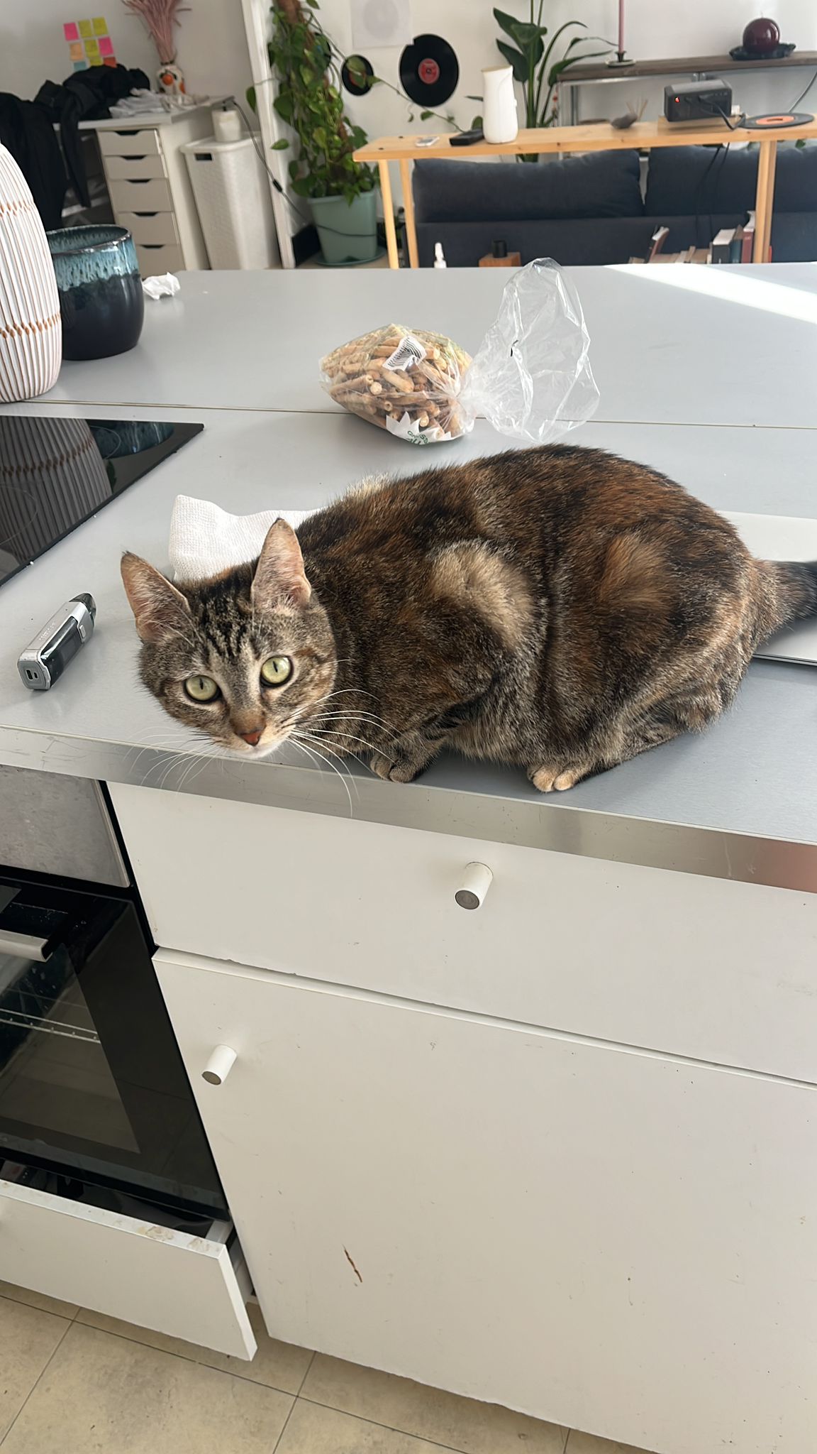 WhatsApp Image 2026-04-11 at 13.22.52