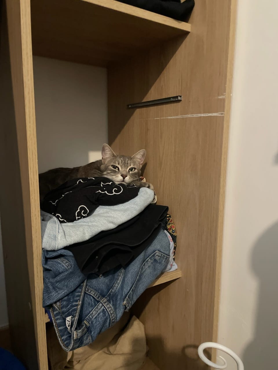 WhatsApp Image 2026-04-13 at 11.10.49 (2)