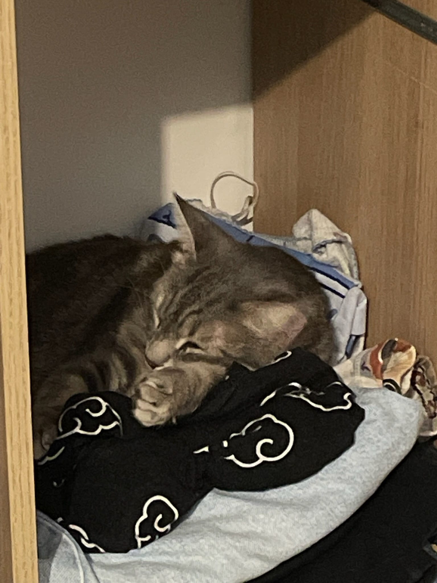 WhatsApp Image 2026-04-13 at 11.10.49 (3)