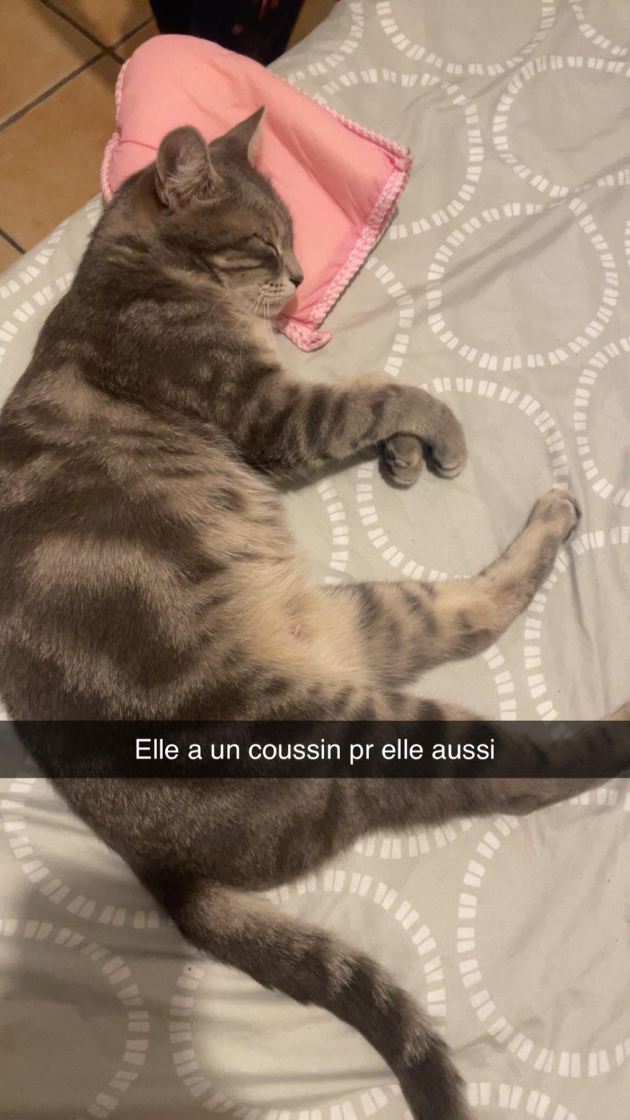 WhatsApp Image 2026-04-13 at 11.10.49