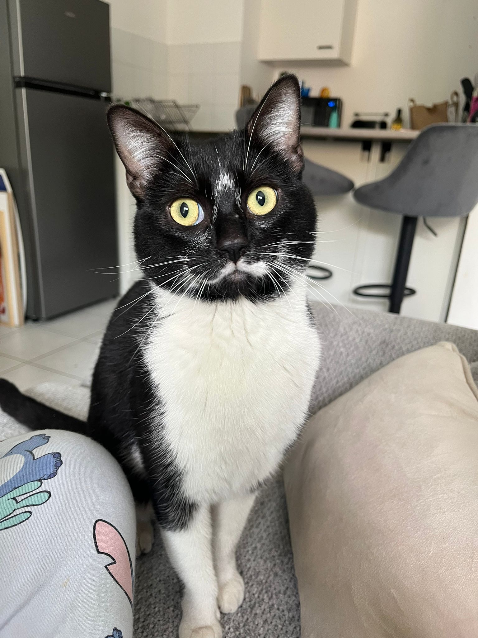 WhatsApp Image 2026-04-13 at 19.07.18 (2)