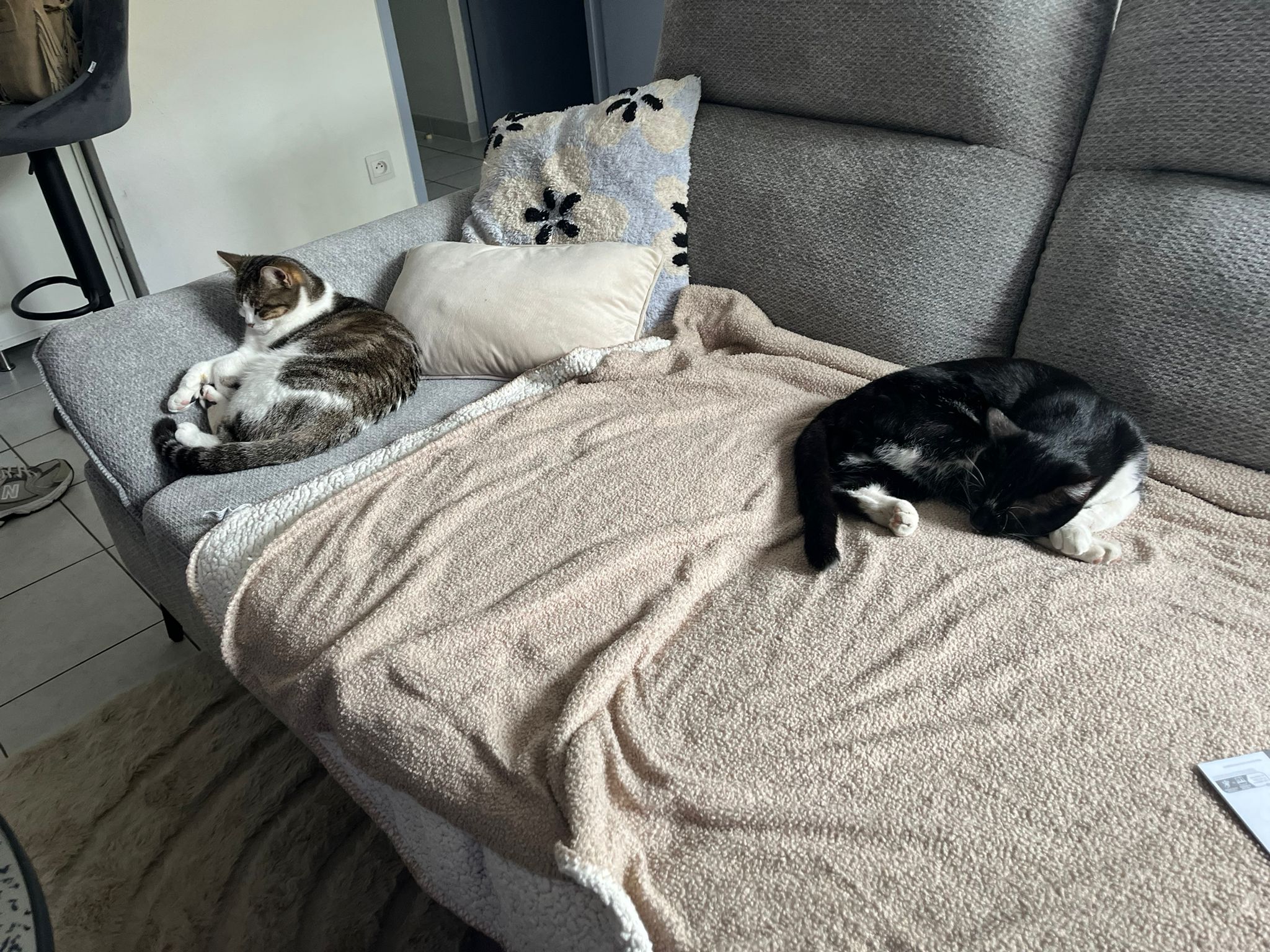 WhatsApp Image 2026-04-13 at 19.07.18