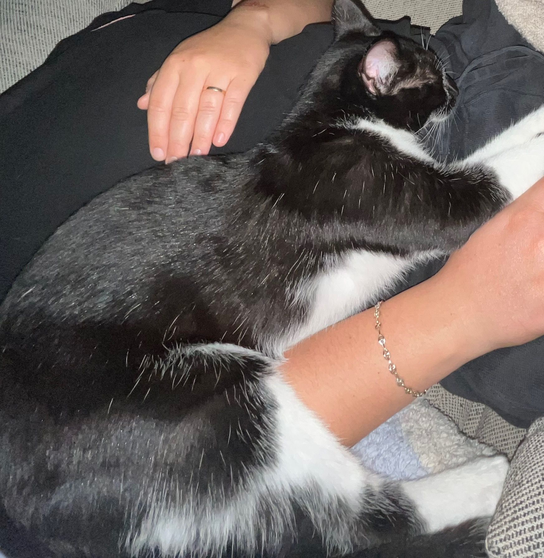 WhatsApp Image 2026-04-13 at 19.07.20