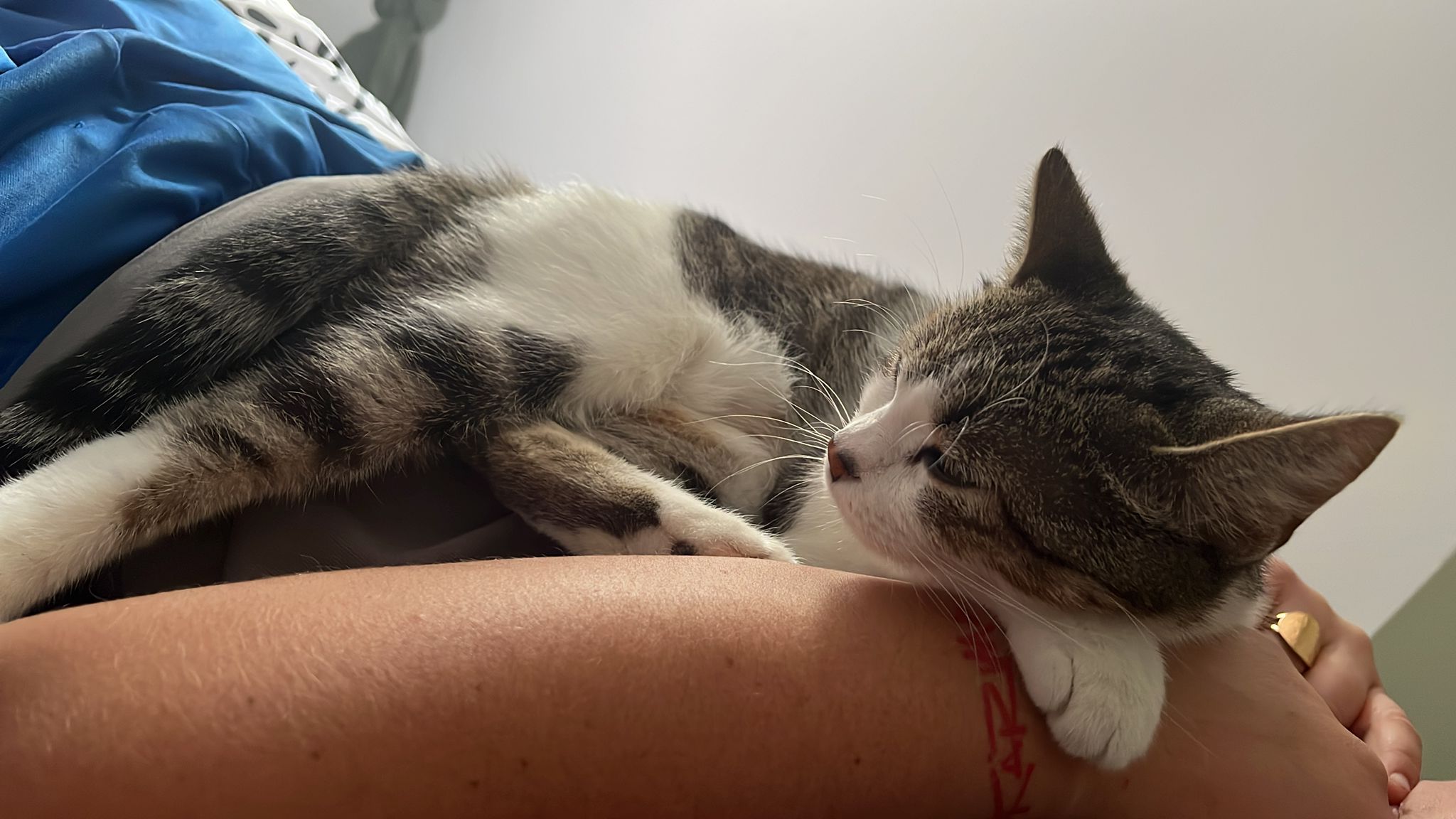 WhatsApp Image 2026-04-13 at 19.07.23 (1)