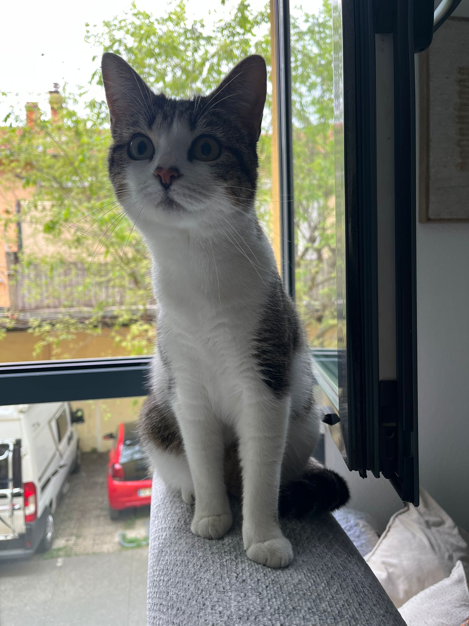 WhatsApp Image 2026-04-13 at 19.07.23