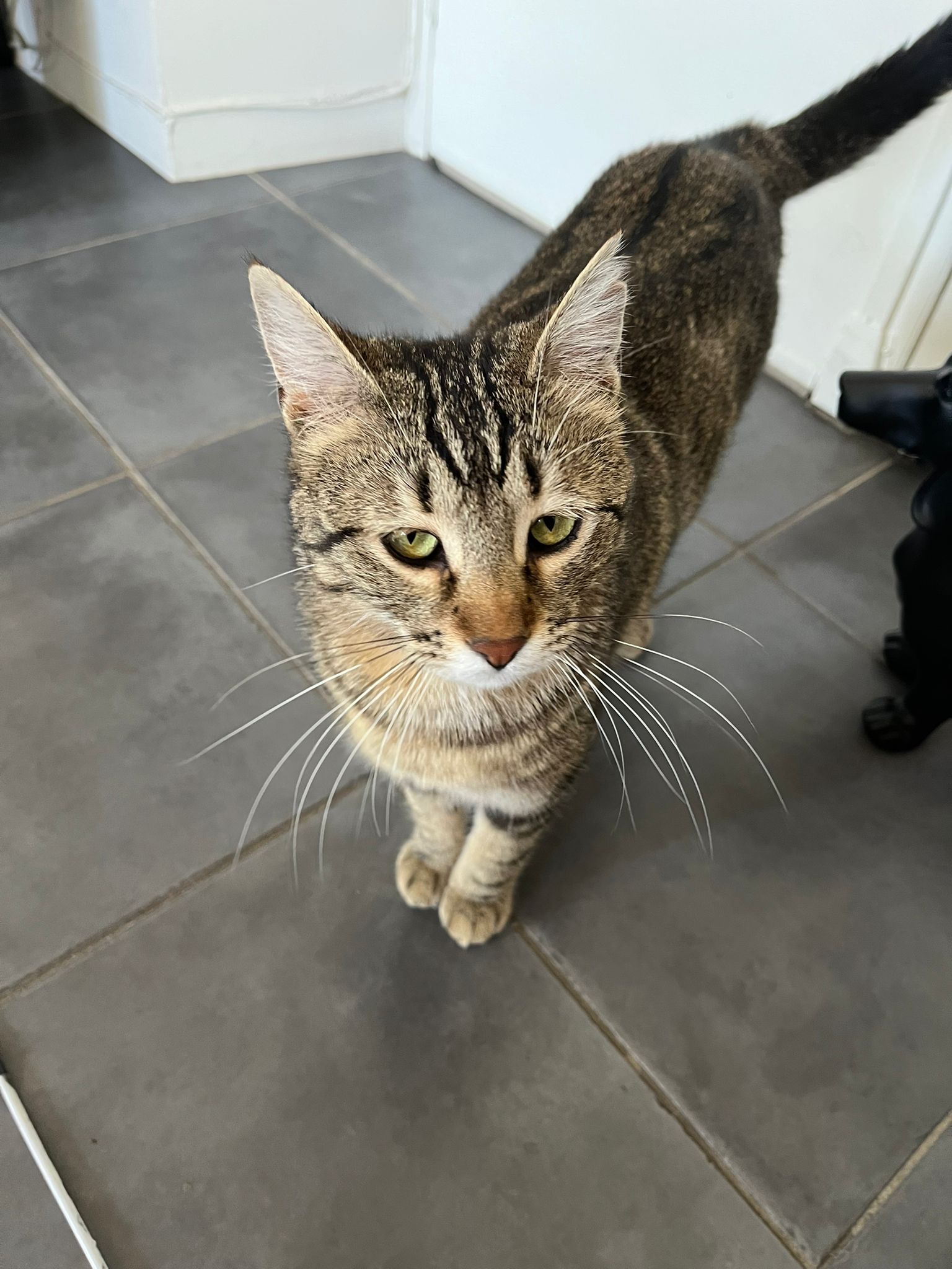 WhatsApp Image 2026-04-15 at 10.48.56 (1)