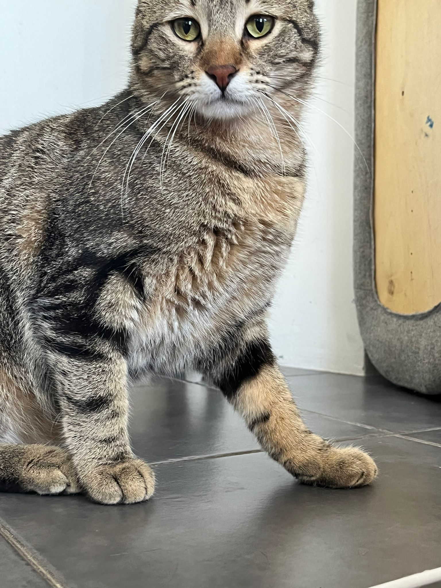 WhatsApp Image 2026-04-15 at 10.48.56