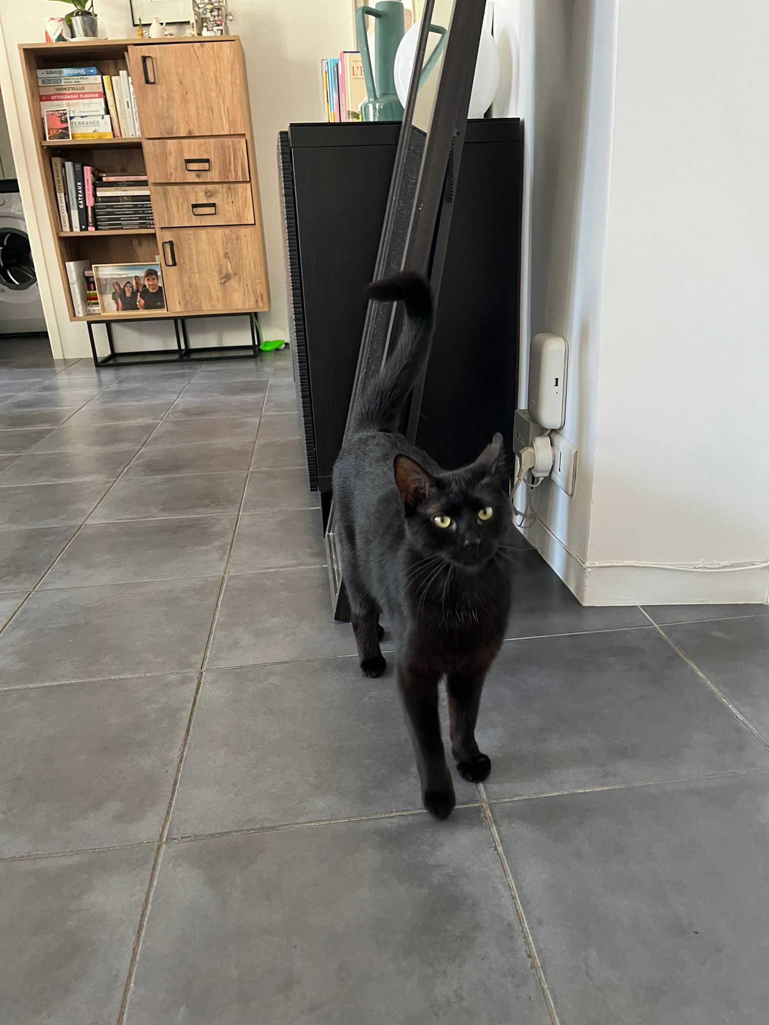 WhatsApp Image 2026-04-15 at 10.48.57 (1)