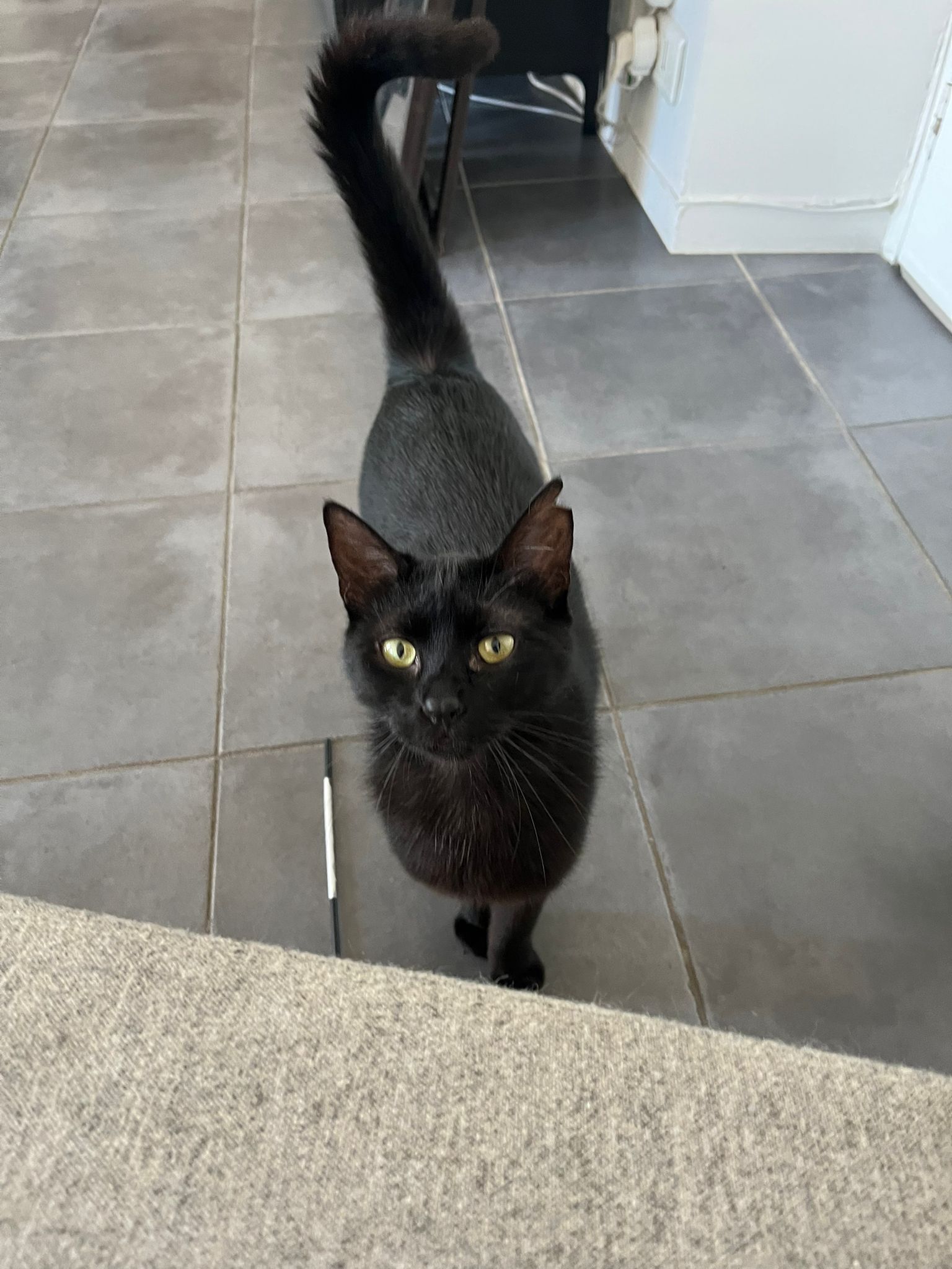 WhatsApp Image 2026-04-15 at 10.48.57