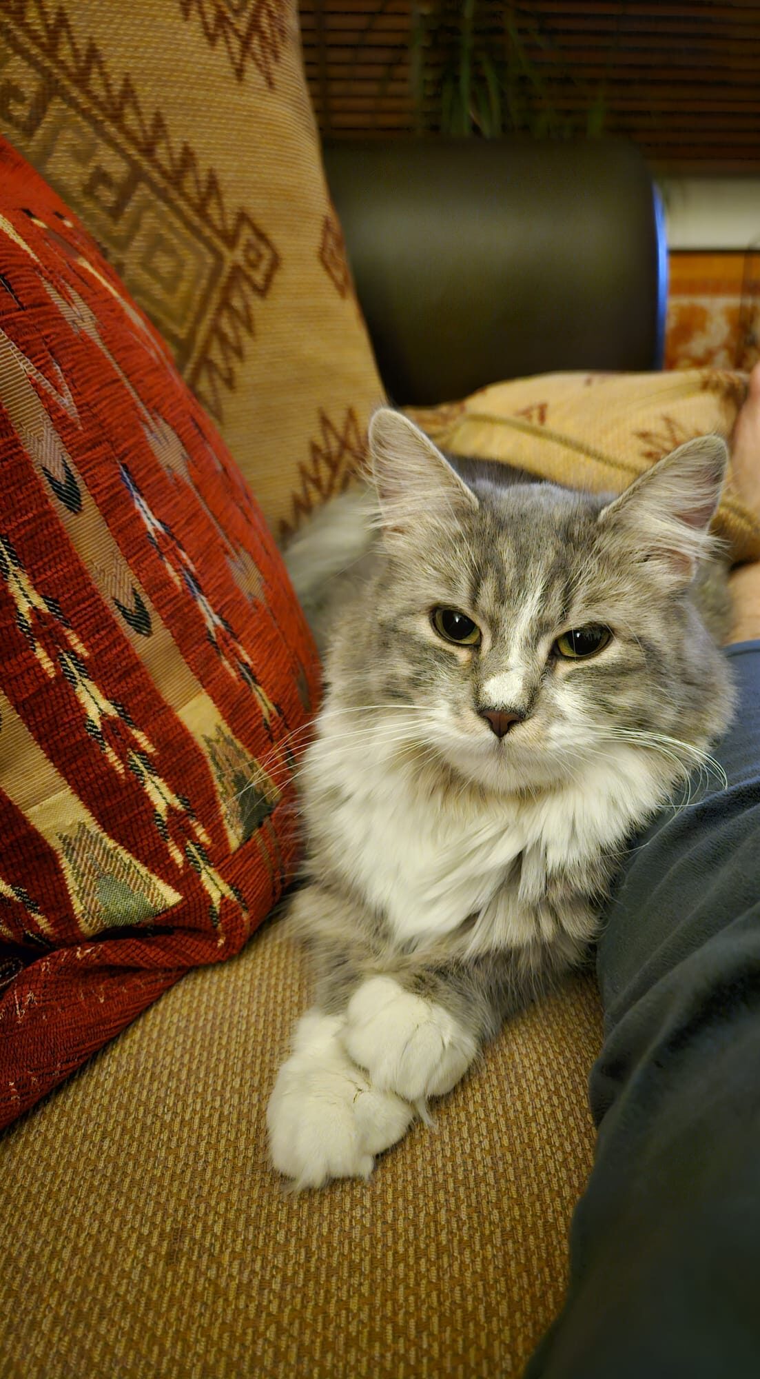 WhatsApp Image 2026-04-15 at 12.58.53 (2)