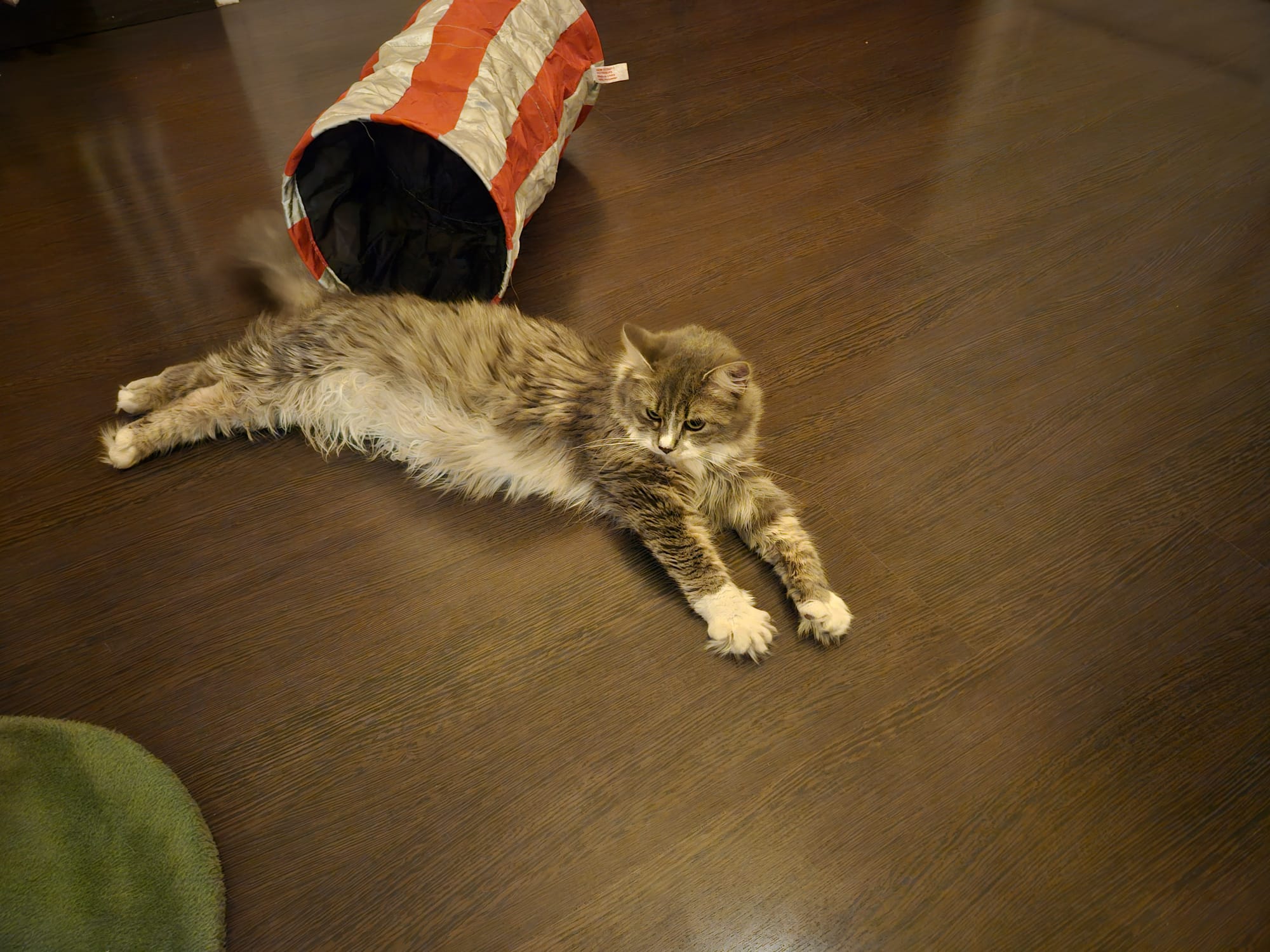 WhatsApp Image 2026-04-15 at 12.58.53 (3)