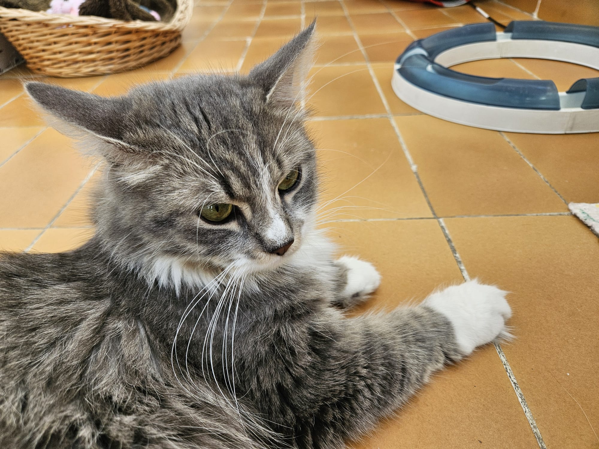 WhatsApp Image 2026-04-15 at 12.58.53