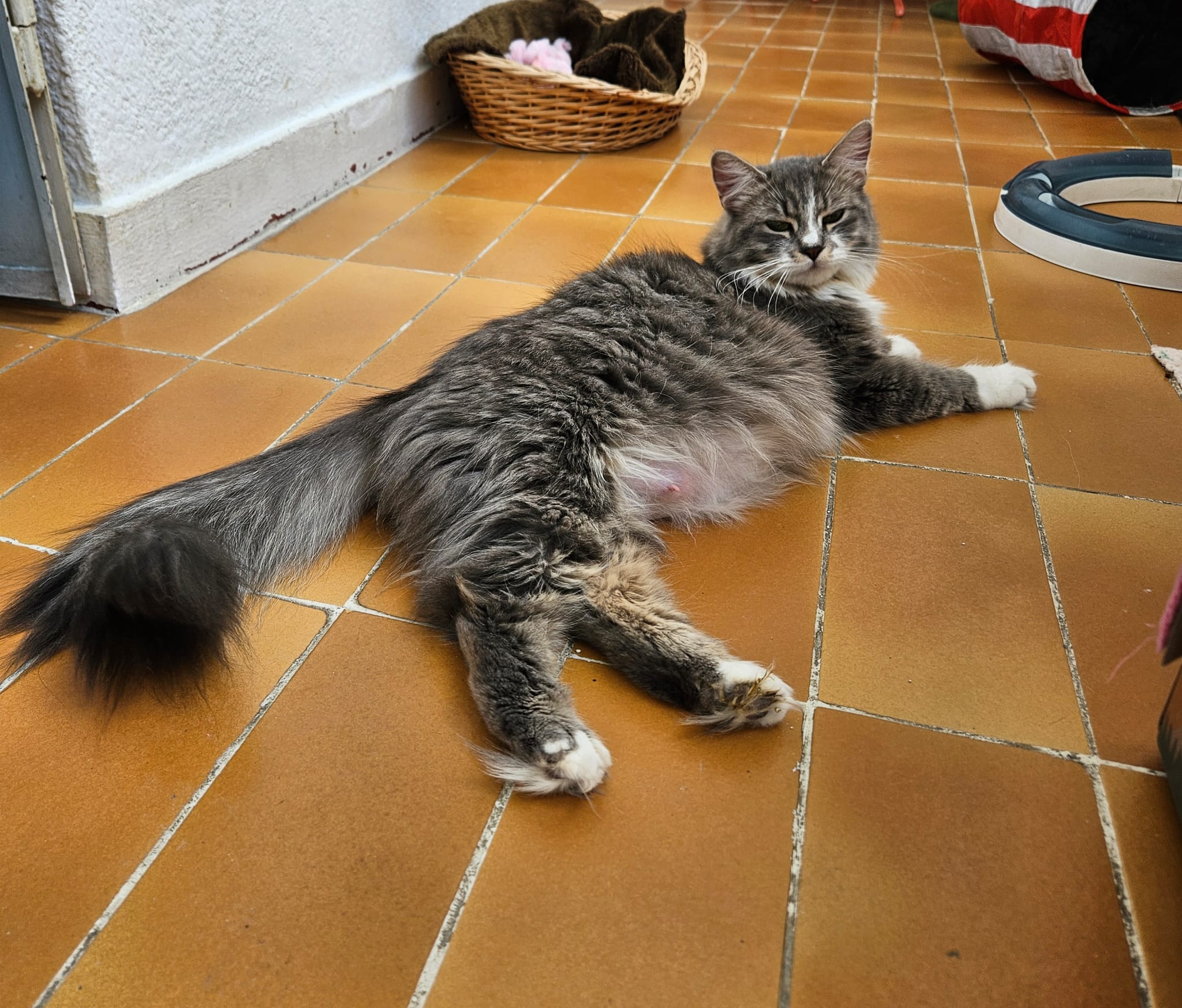 WhatsApp Image 2026-04-15 at 12.58.54