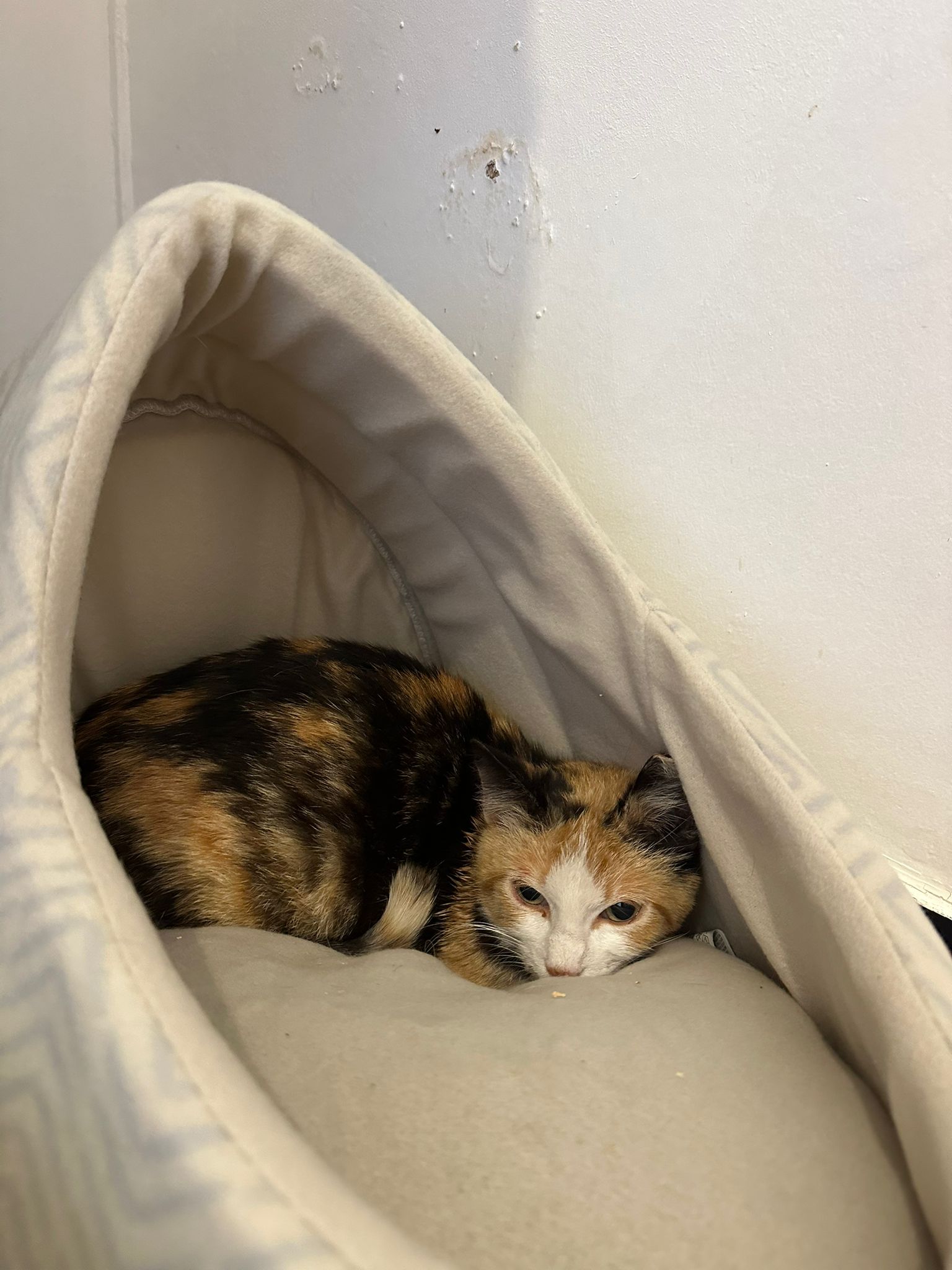 WhatsApp Image 2026-04-17 at 23.25.36 (1)